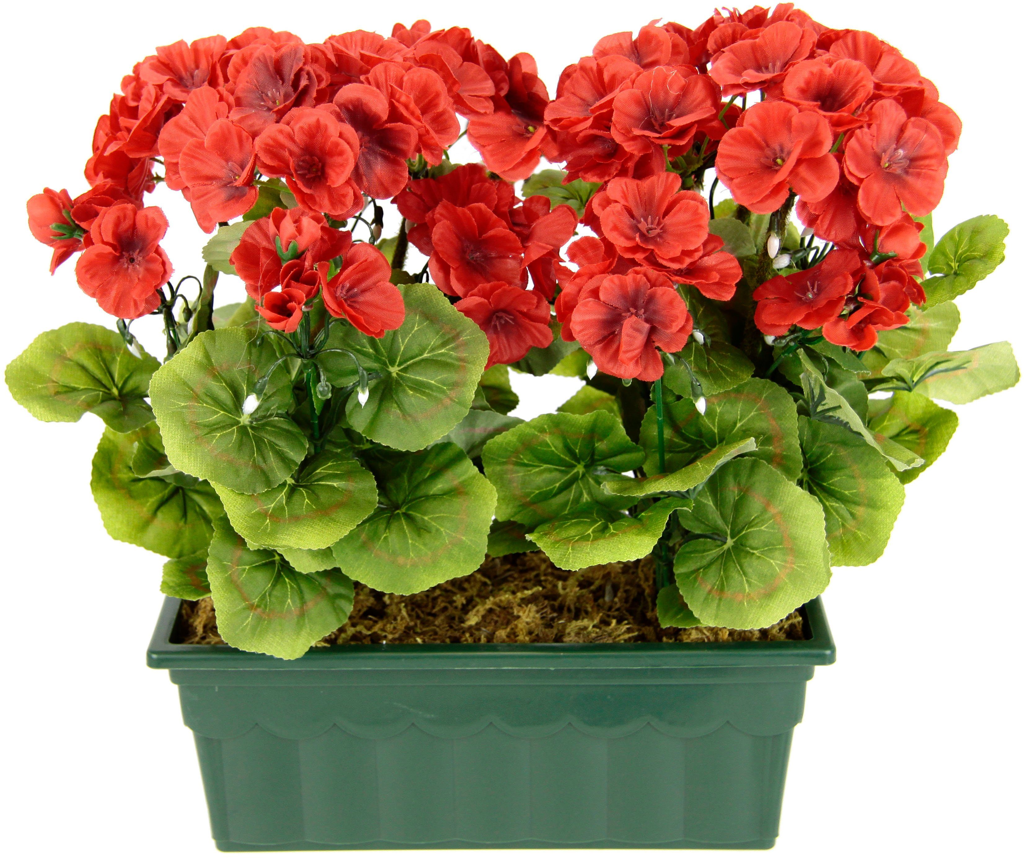 Kunstblume Geranie, my home, Höhe 36 günstig online kaufen