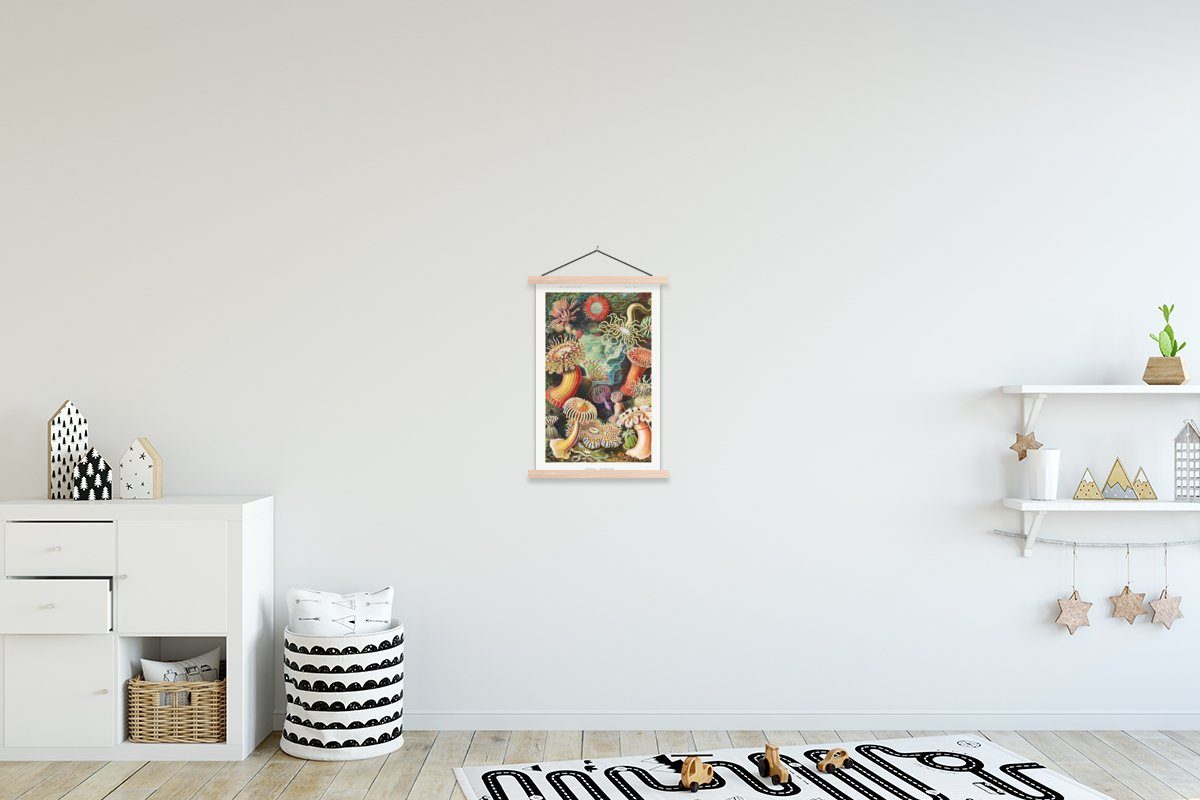 MuchoWow Poster Ernst Haeckel - Anemone - Retro - Natur - Pflanzen - Meer, (1 St), Posterleiste, Textilposter für Wohnzimmer, Bilderleiste, Magnetisch braun | braun