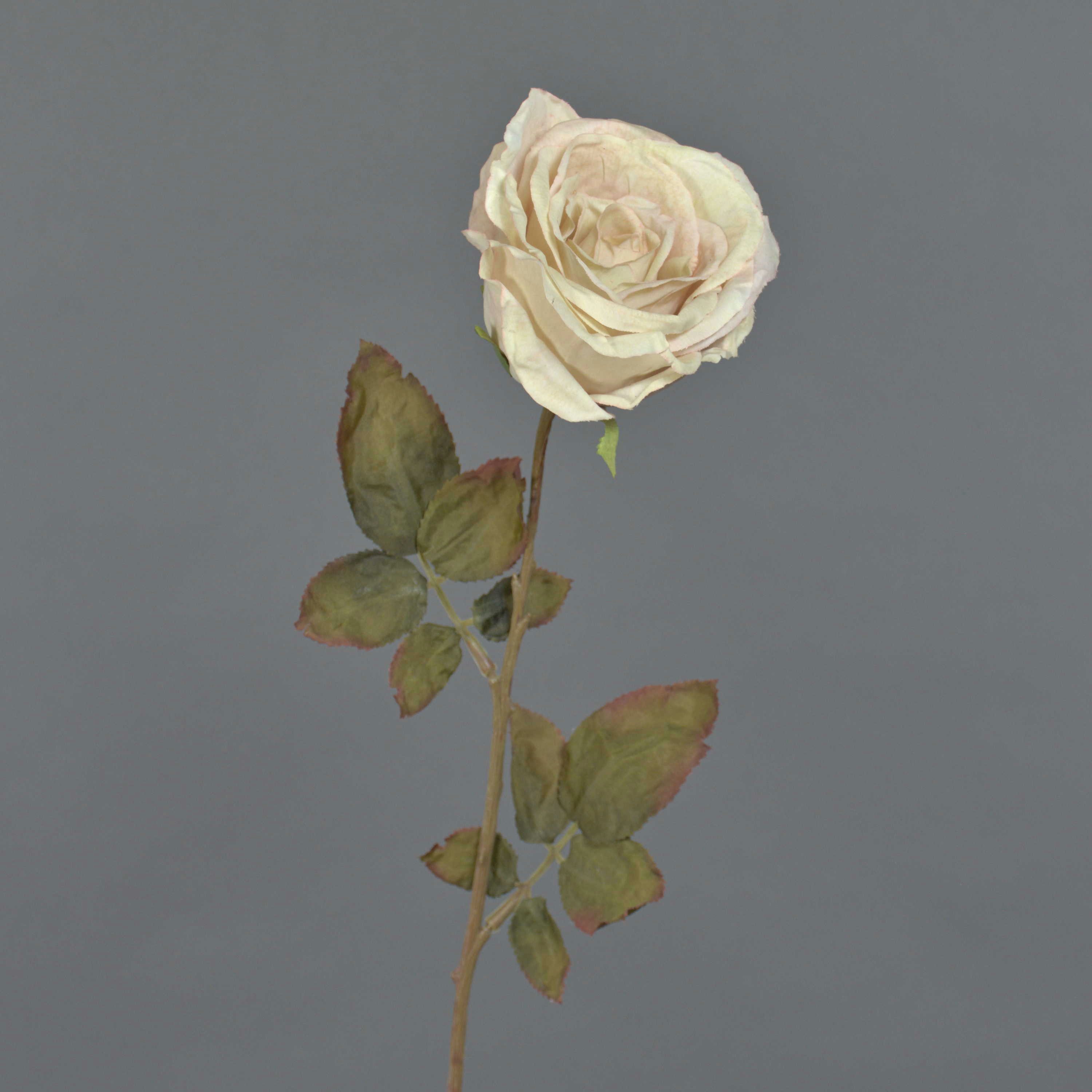 Kunstblume Künstliche Rose NAJMA, Creme, 65cm, Ø11cm Rose, artplants, Höhe 65.0 cm