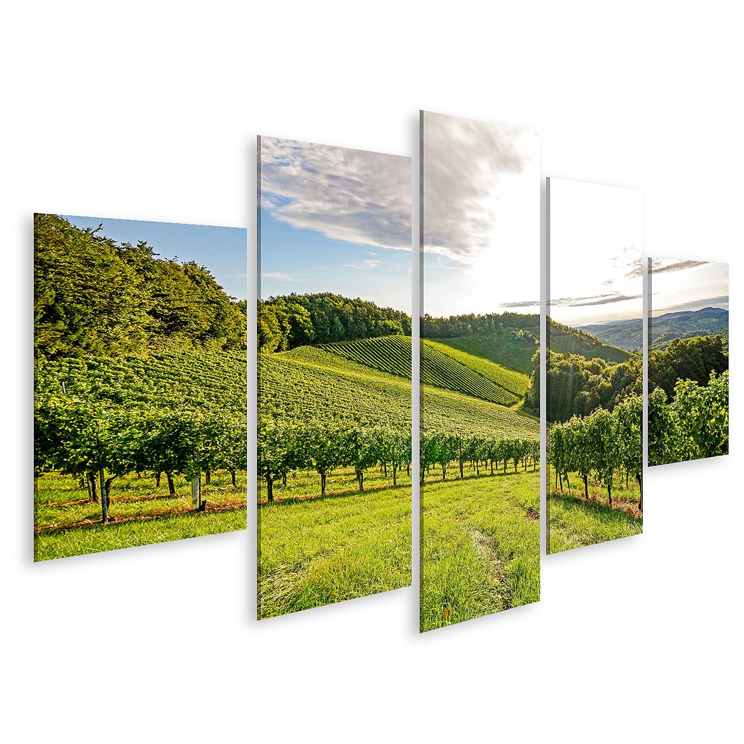 Leinwandbild Bild auf Leinwand Reben Weinberg Herbst Weintrauben Ernte Europa Wandb