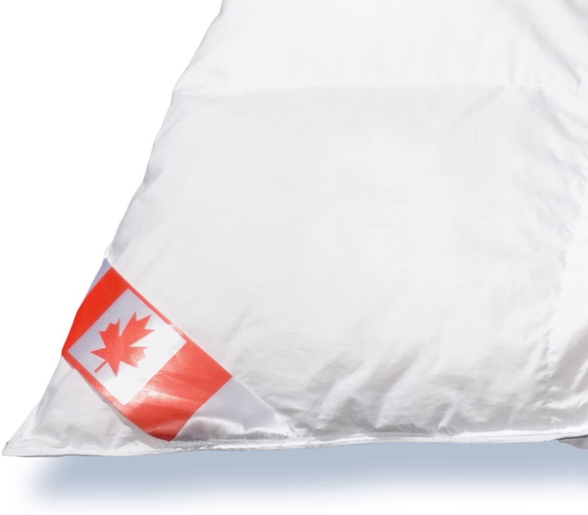 Daunendecke Füllung: 100% daunen-federn.de, warm, geeignet Daunenbettdecke, Canada Kanada für Allergiker 1, Klasse Daunen