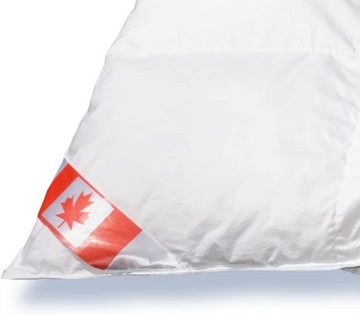 Daunenbettdecke, Canada Daunendecke warm, daunen-federn.de, Füllung: 100% Kanada Daunen Klasse 1, für Allergiker geeignet