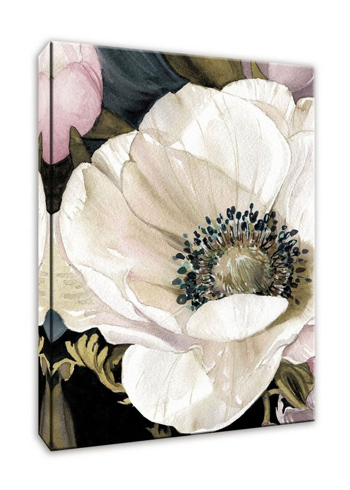 artissimo Leinwandbild artissimo Bild auf Leinwand 50x70cm Malerei Tiere  Schwein grün rosa, Carol Robinson: Anemone Study II