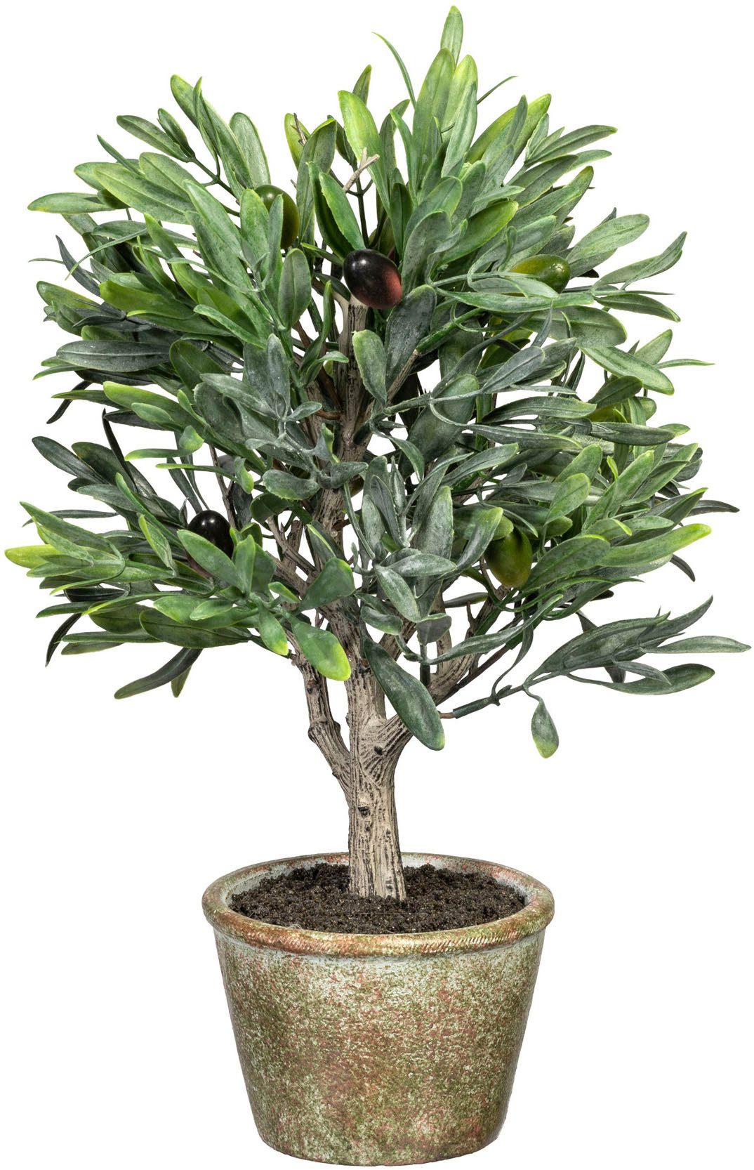 Kunstpflanze Olive, Creativ green, Höhe 70 cm, mit detailgetreuer Gestaltun günstig online kaufen