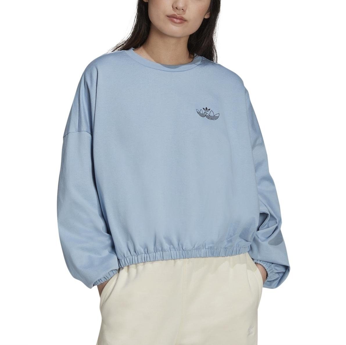 adidas Originals Sweater adidas Originals Adicolor Sweatshirt | Sweatshirts