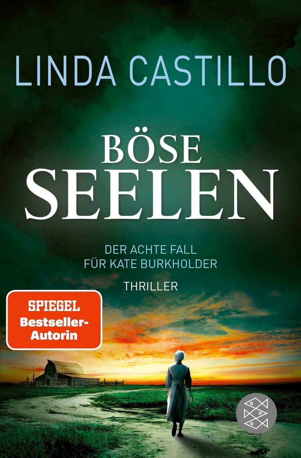 Böse Seelen / Kate Burkholder Band 8 / Linda Castillo