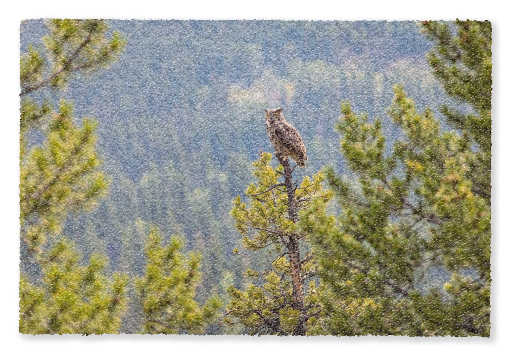 MuchoWow Fußmatte Eule - Uhu - Bäume - Natur, Rechteckig, innen Schmutzfangmatte, Tür, Schmutzfänger Flur, Teppich 60x40 cm