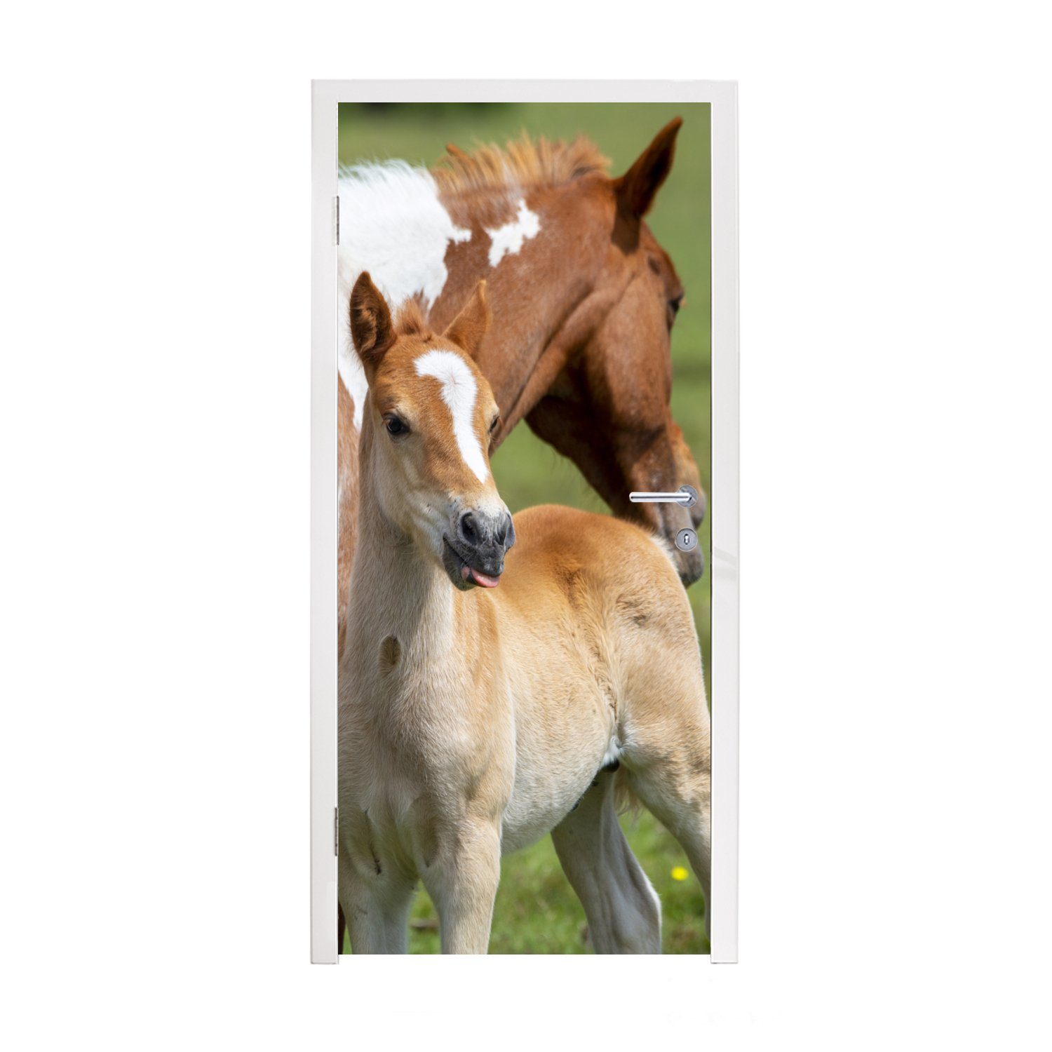 MuchoWow Türtapete Pferde - Fohlen - Gras, Matt, bedruckt, (1 St), Fototapete für Tür, Türaufkleber, 75x205 cm