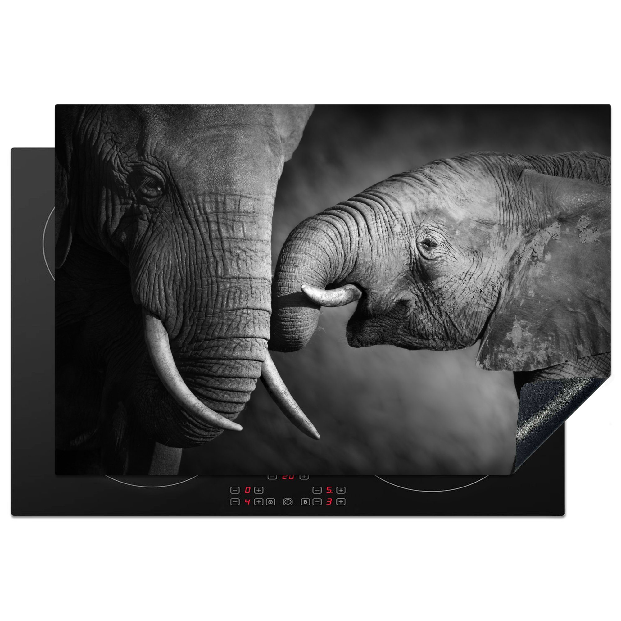 MuchoWow Herdblende-/Abdeckplatte Wildtiere - Elefant - Schwarz - Weiß - Porträt, Vinyl, (1 tlg), 77x51 cm, Ceranfeldabdeckung, Arbeitsplatte für küche