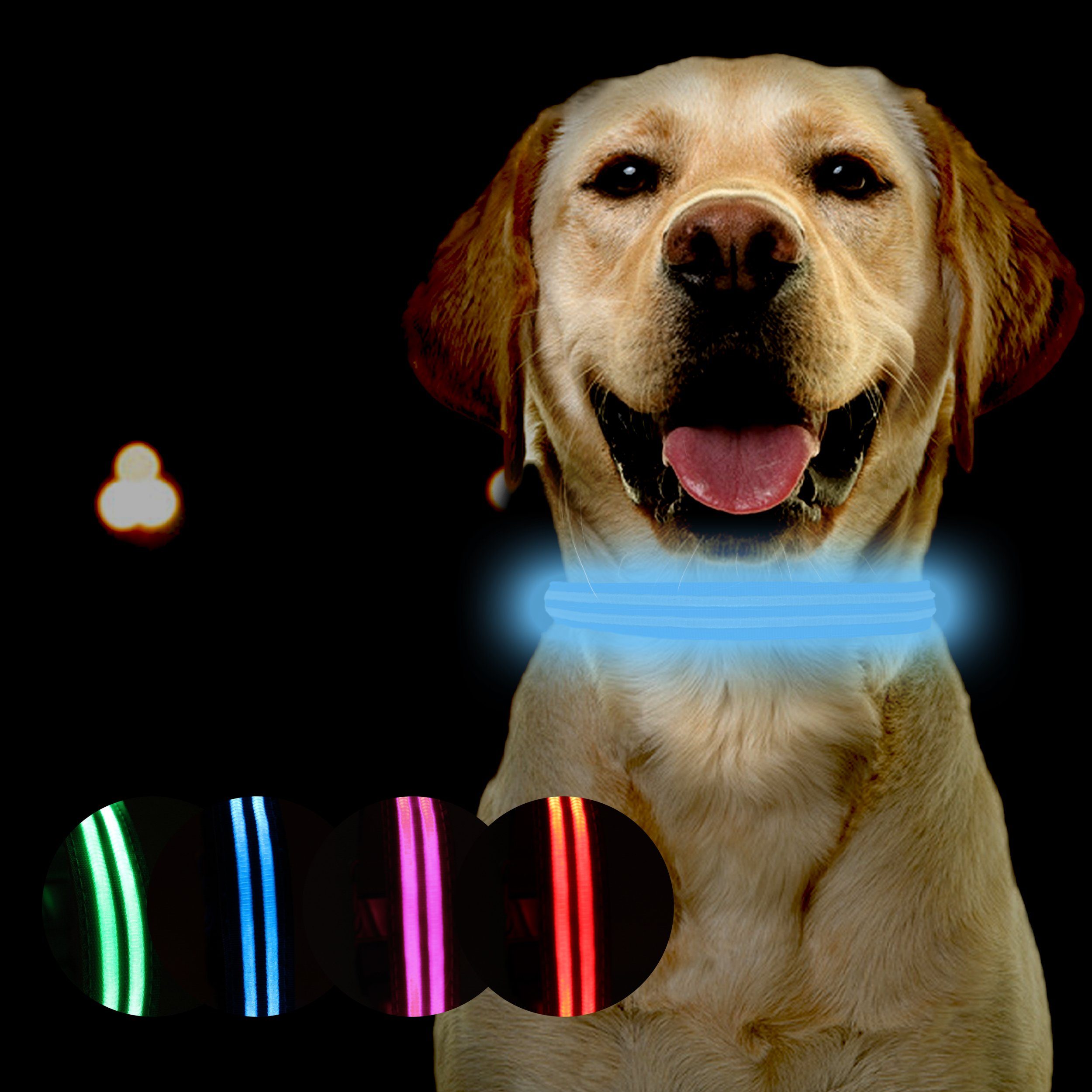 Hunde-Halsband Leuchthalsband für Hunde [Das Original] Leuchtendes LED Hundehalsband