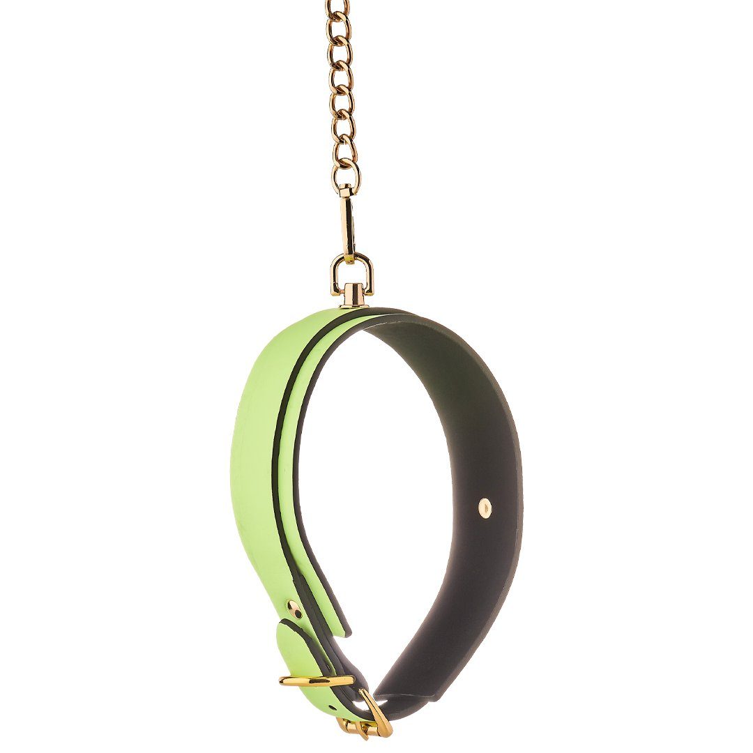Dream Toys Erotik-Halsband in Halsband Glow mit the Dark - Leine neongrün