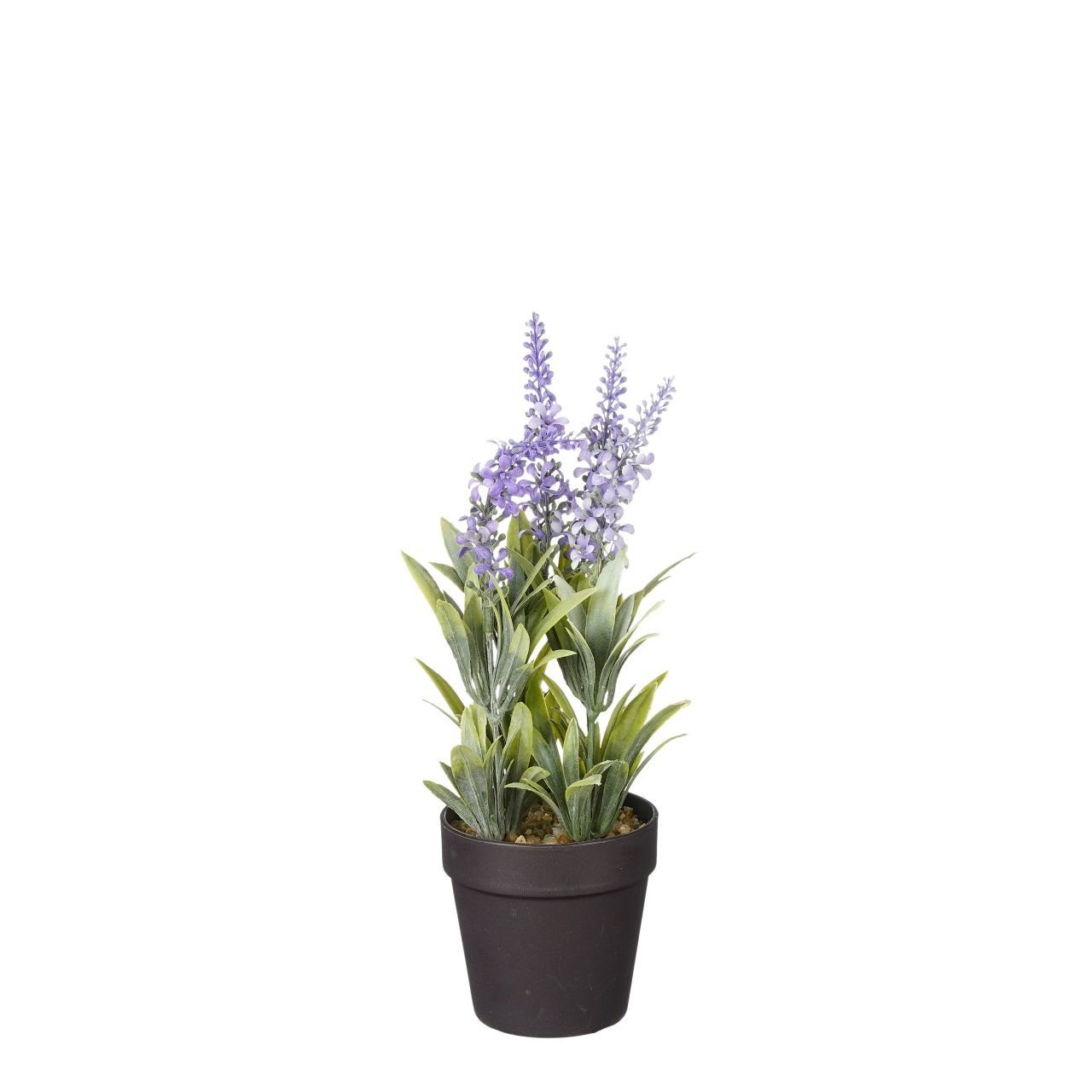 Kunstpflanze Mica künstlicher Lavendel im Topf violett 24 x 10, Mica