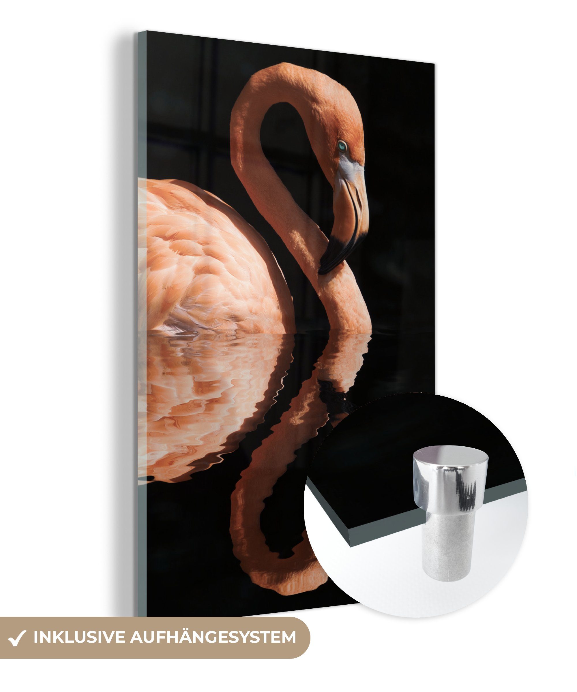 MuchoWow Acrylglasbild Flamingo - Wasser - Rosa, (1 St), Glasbilder - Bilder auf Glas Wandbild - Foto auf Glas - Wanddekoration bunt