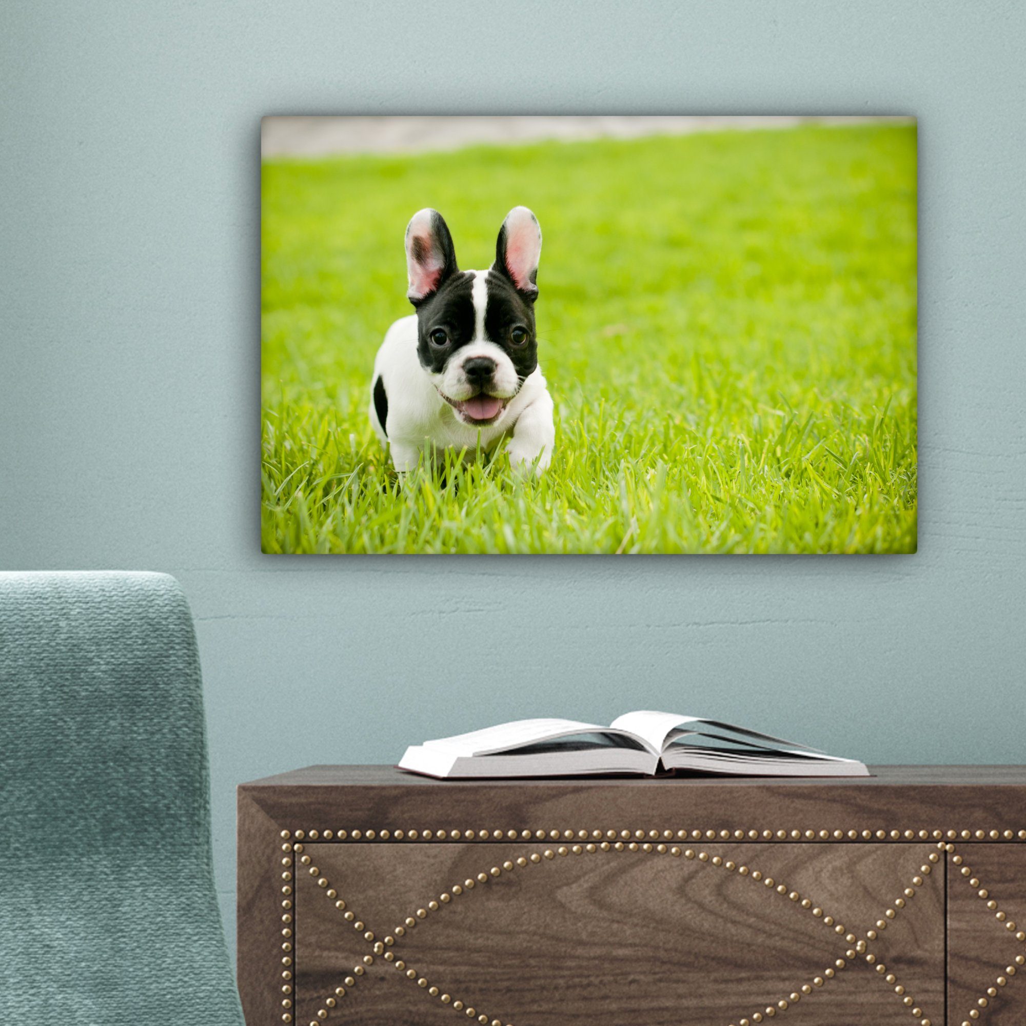 OneMillionCanvasses® 30x20 (1 Aufhängefertig, cm Welpe - St), Bulldogge - Französische Leinwandbilder, Wandbild Leinwandbild Wanddeko, Gras,