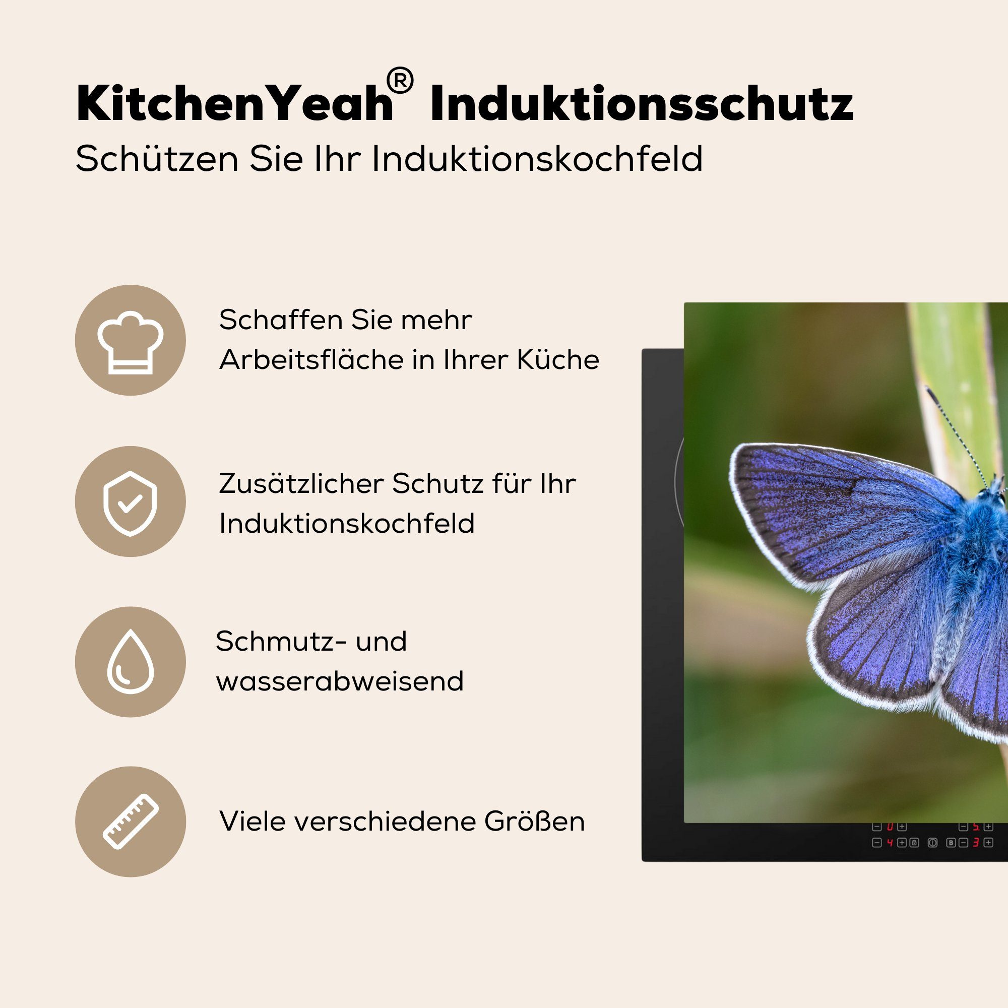 Gras, Mobile Schmetterling Blauglöckchen nutzbar, cm, Herdblende-/Abdeckplatte (1 tlg), MuchoWow im Vinyl, Arbeitsfläche Ceranfeldabdeckung 60x52