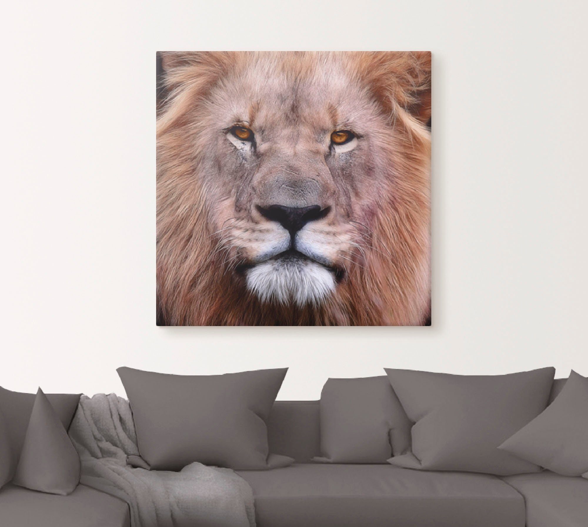 König (1 Löwen, Größen Artland Wandbild in St), als Leinwandbild, Wildtiere oder Wandaufkleber der versch. Poster