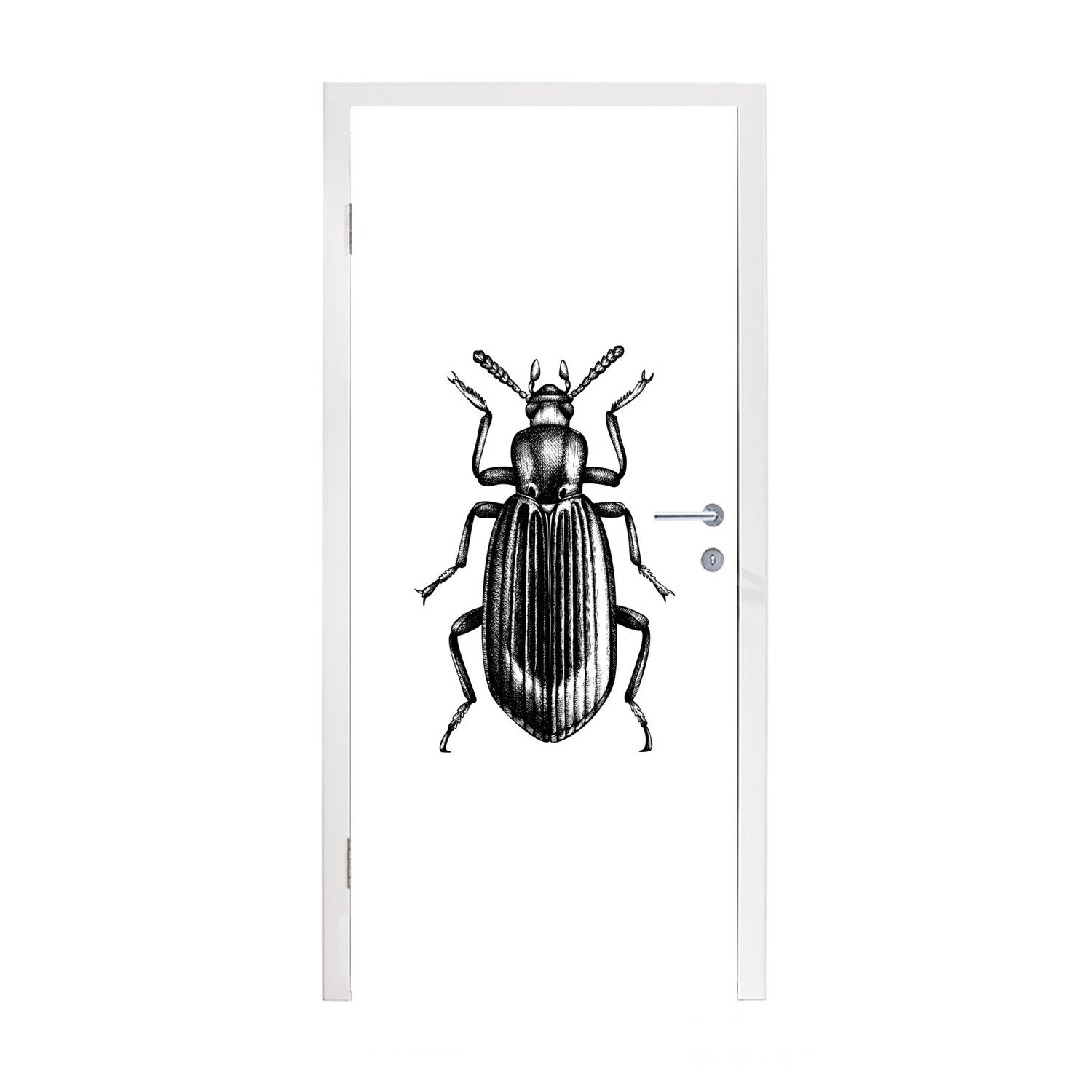 MuchoWow Türtapete Käfer - Tiere - Vintage, Matt, bedruckt, (1 St), Fototapete für Tür, Türaufkleber, 75x205 cm