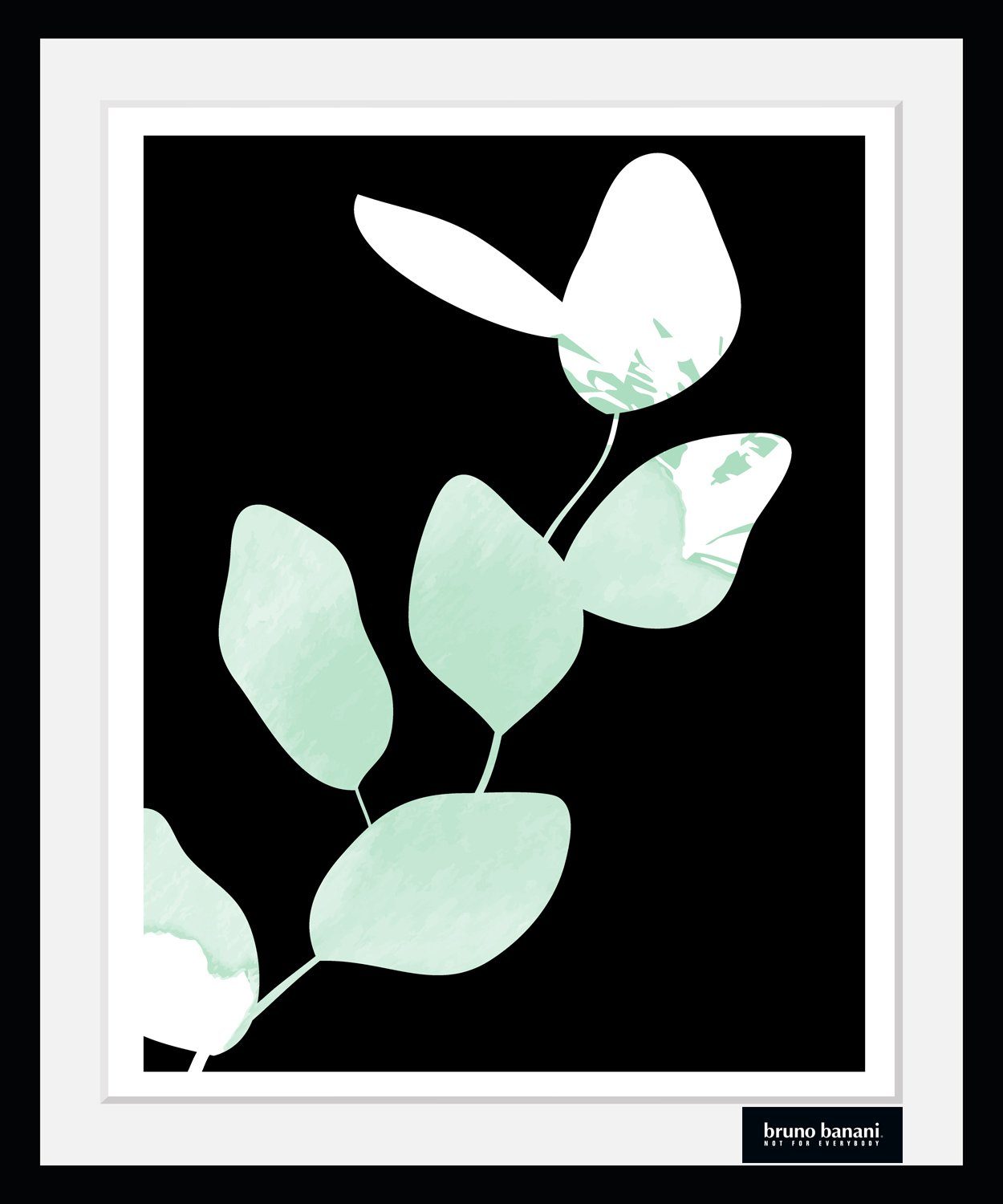 Bruno Banani Bild mit Rahmen Eukalyptus - Gerahmter Digitaldruck - Wandbild, Blumenbilder, Kunst, Modern (1 St), Holzrahmen - Dekoration