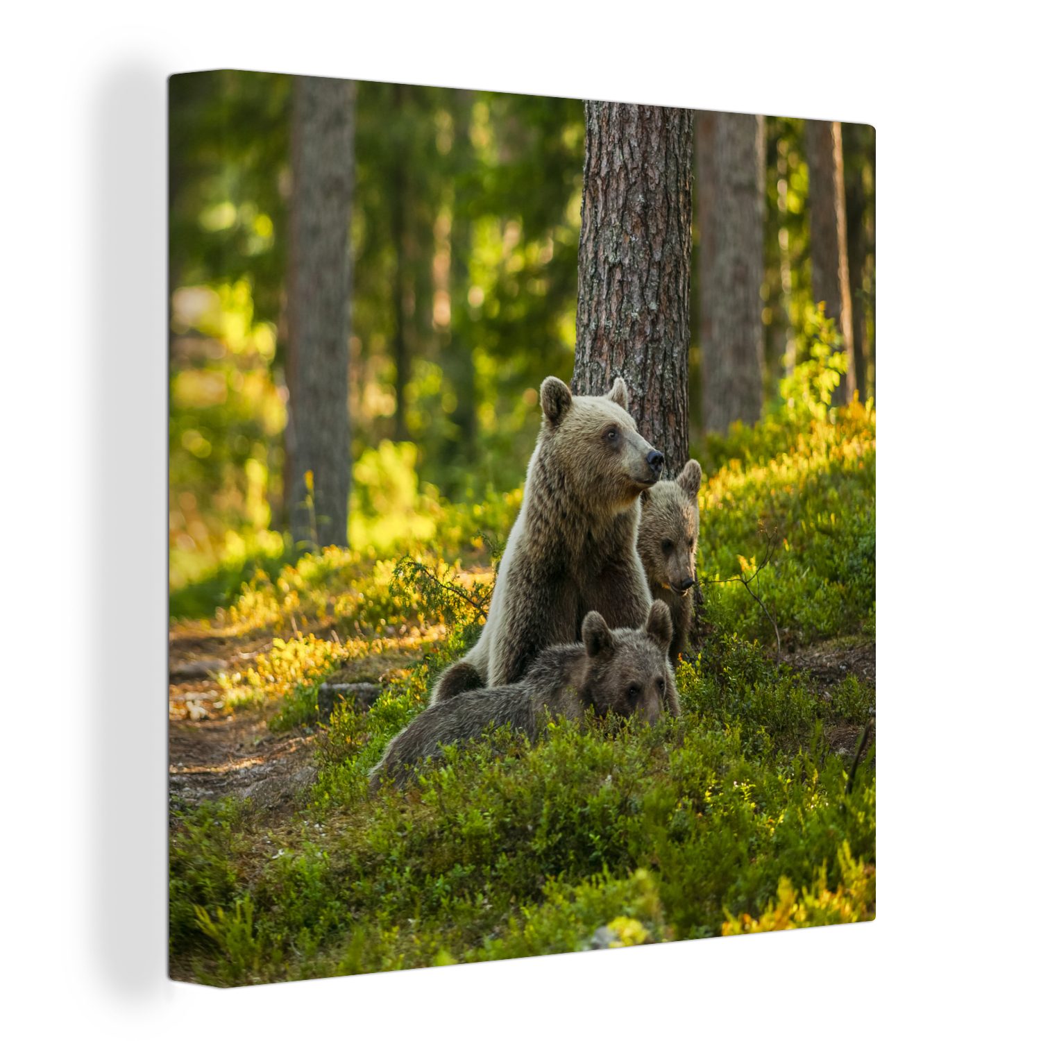OneMillionCanvasses® Leinwandbild Bär - Braun - Wald, (1 St), Leinwand Bilder für Wohnzimmer Schlafzimmer