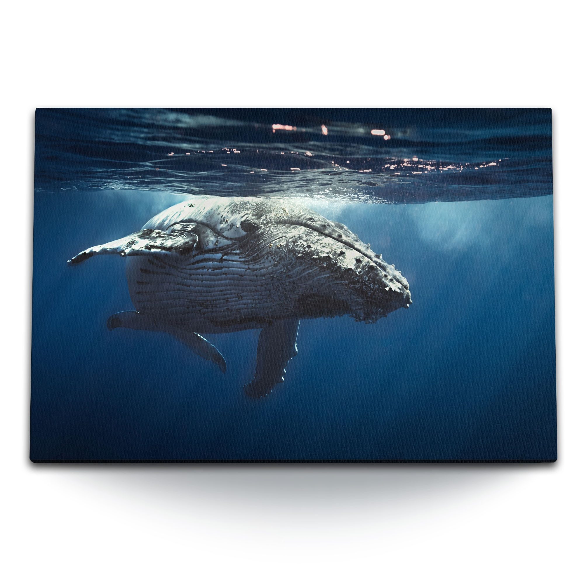 Sinus Art Leinwandbild 120x80cm Wandbild auf Leinwand Grauwal Wal unter Wasser Ozean Blau, (1 St)