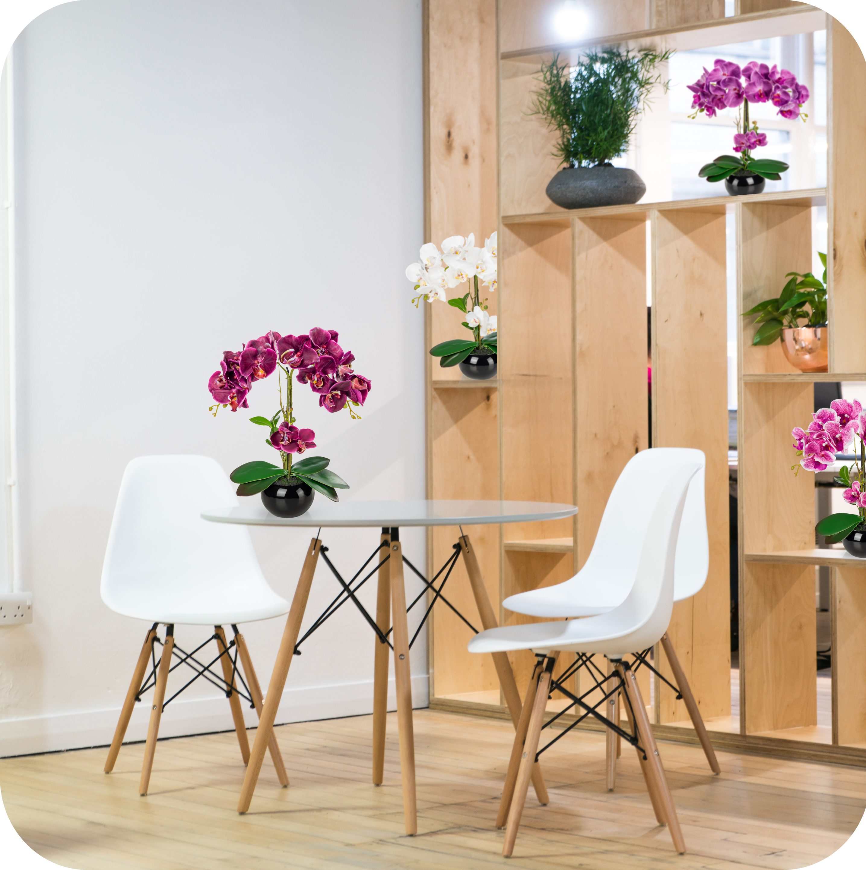 Kunstorchidee PASCH® Orchidee künstlich wie echt (40cm) in Hochglanz-Keramiktopf Orchidee, PASCH