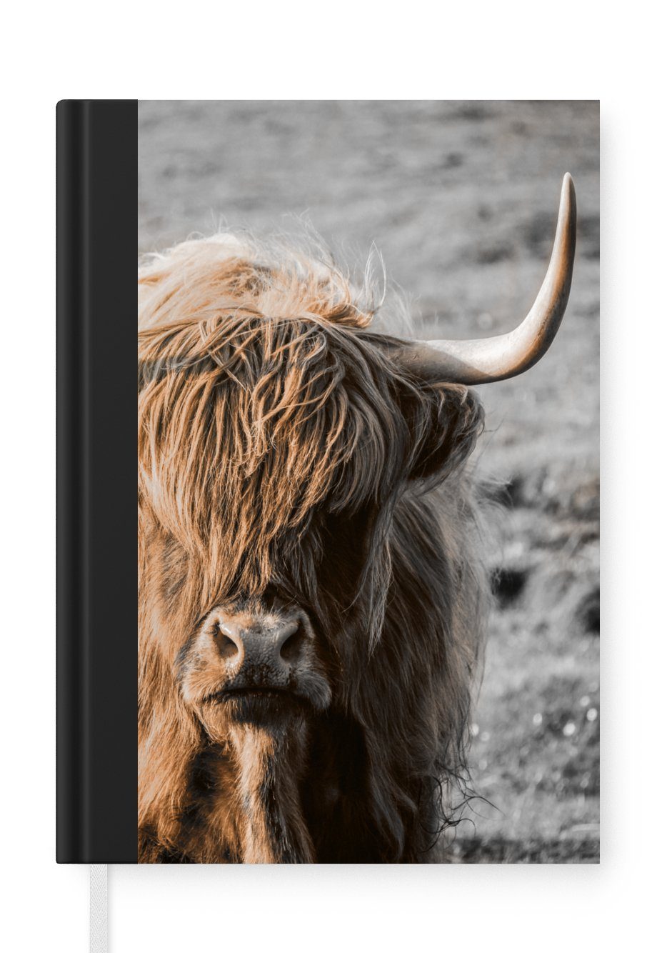 MuchoWow Notizbuch Schottischer Highlander - Tier - Sonne, Journal, Merkzettel, Tagebuch, Notizheft, A5, 98 Seiten, Haushaltsbuch