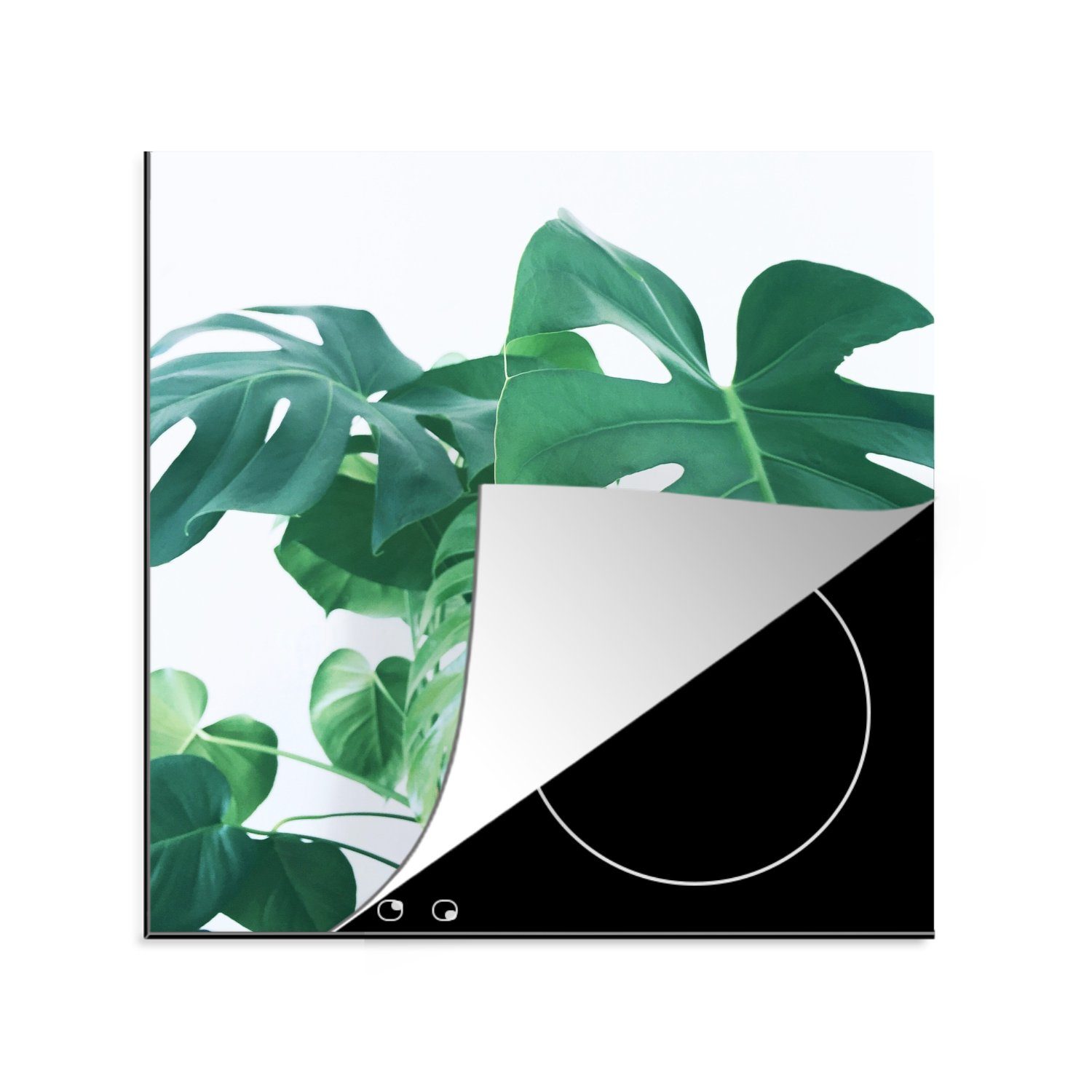 MuchoWow Herdblende-/Abdeckplatte Enorme botanische Blätter der Lochpflanze auf einem weißen Hintergrund, Vinyl, (1 tlg), 78x78 cm, Ceranfeldabdeckung, Arbeitsplatte für küche