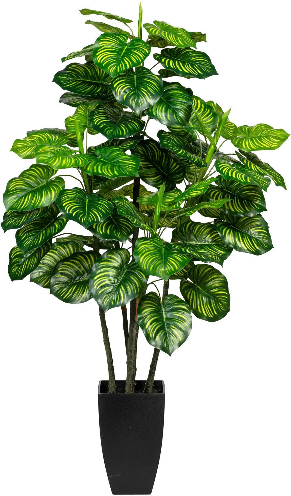 Maranta 105 cm Creativ Höhe Maranta, Zimmerpflanze Künstliche green,