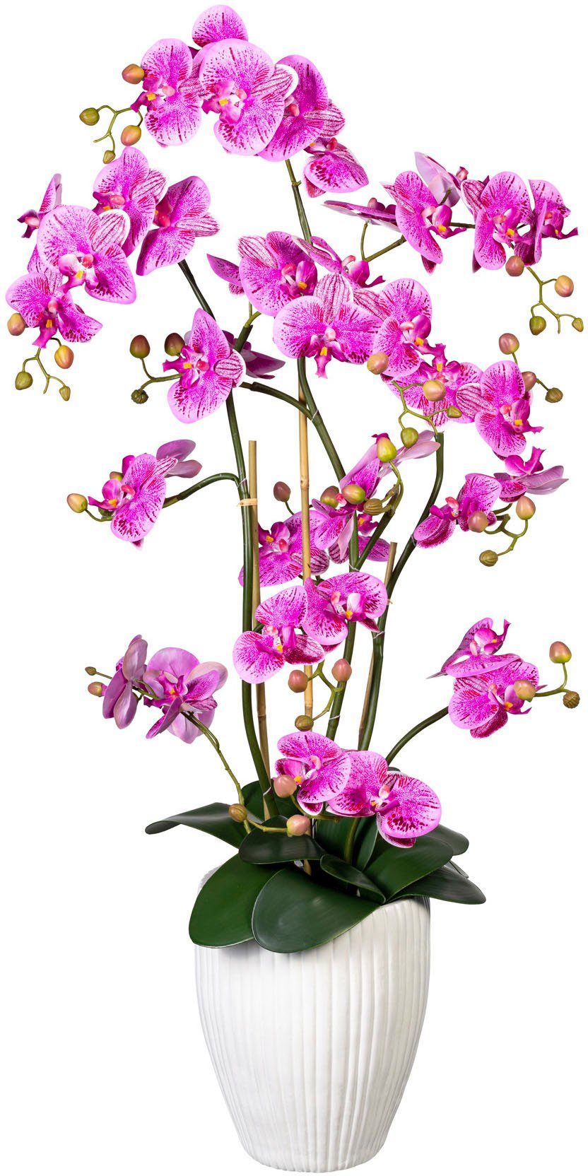 Kunstorchidee Deko-Orchidee Phalaenopsis XL im Keramiktopf Orchidee Phalaenopsis, Creativ green, Höhe 110 cm