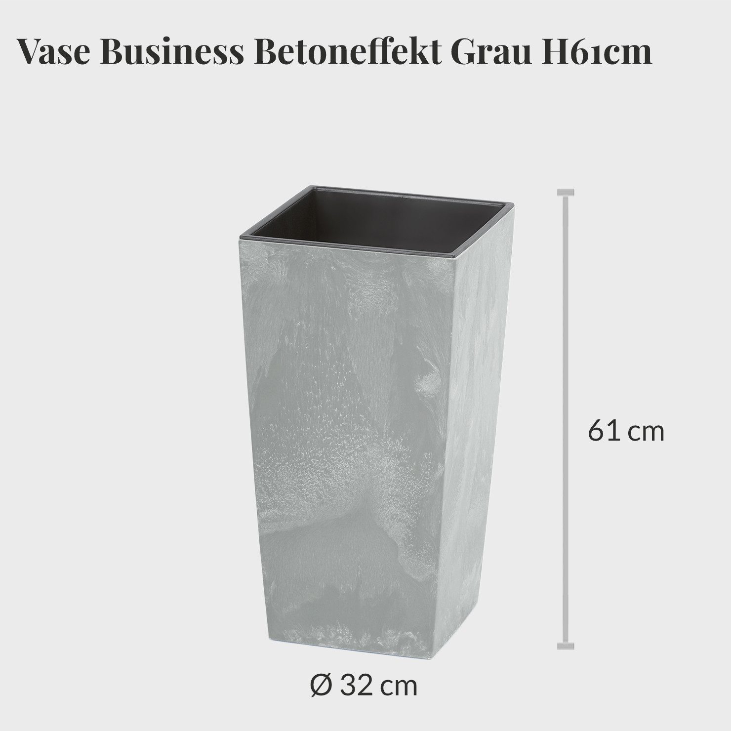 Green Me Up Zimmerpflanze Büropflanze Bogenhanf Sansevieria Laurentii, inkl. 10L Blähton, Wasserstandsanzeige & Langzeitdünger