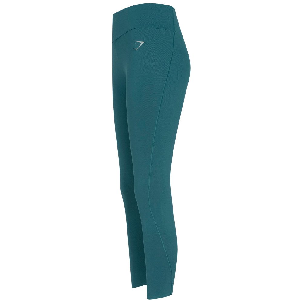 Gymshark Leggings Speed