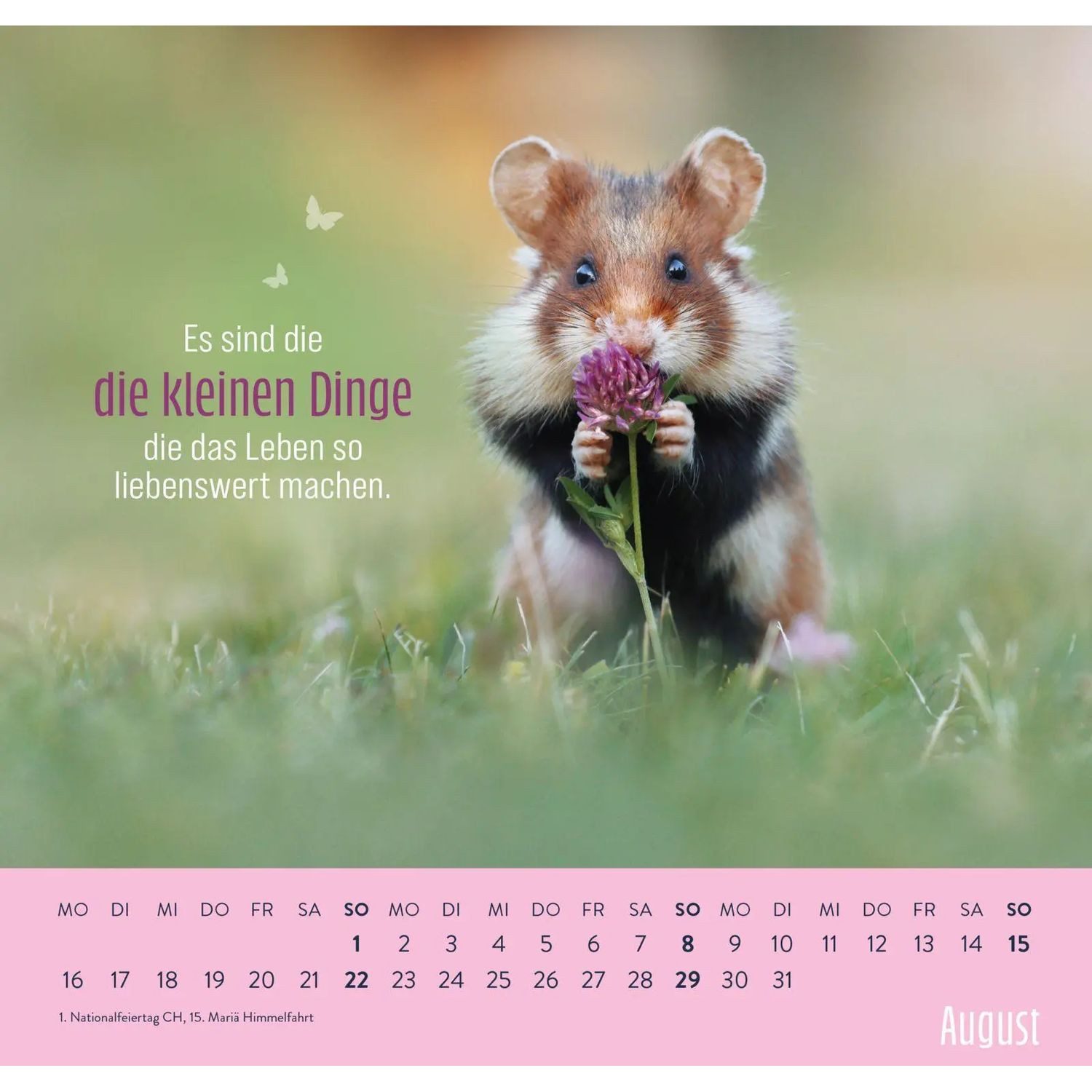 groh Verlag Wandkalender Wandkalender 2027: Kleine Glücksbringer für dein Jahr