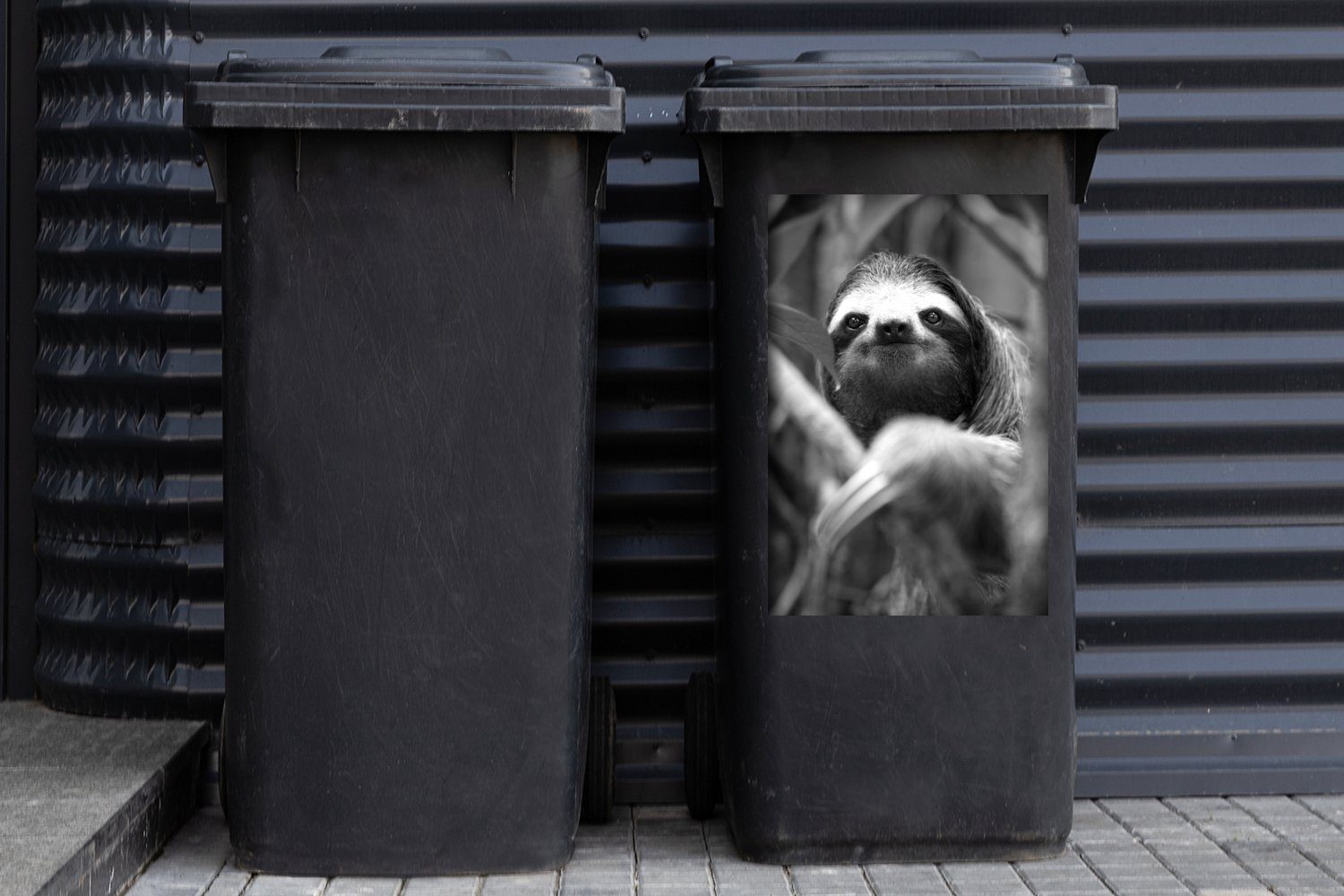 von St), (1 Mülltonne, Wandsticker - inmitten Faultiers Blättern Container, Nahaufnahme Mülleimer-aufkleber, MuchoWow Sticker, schwarz-weiß eines Abfalbehälter