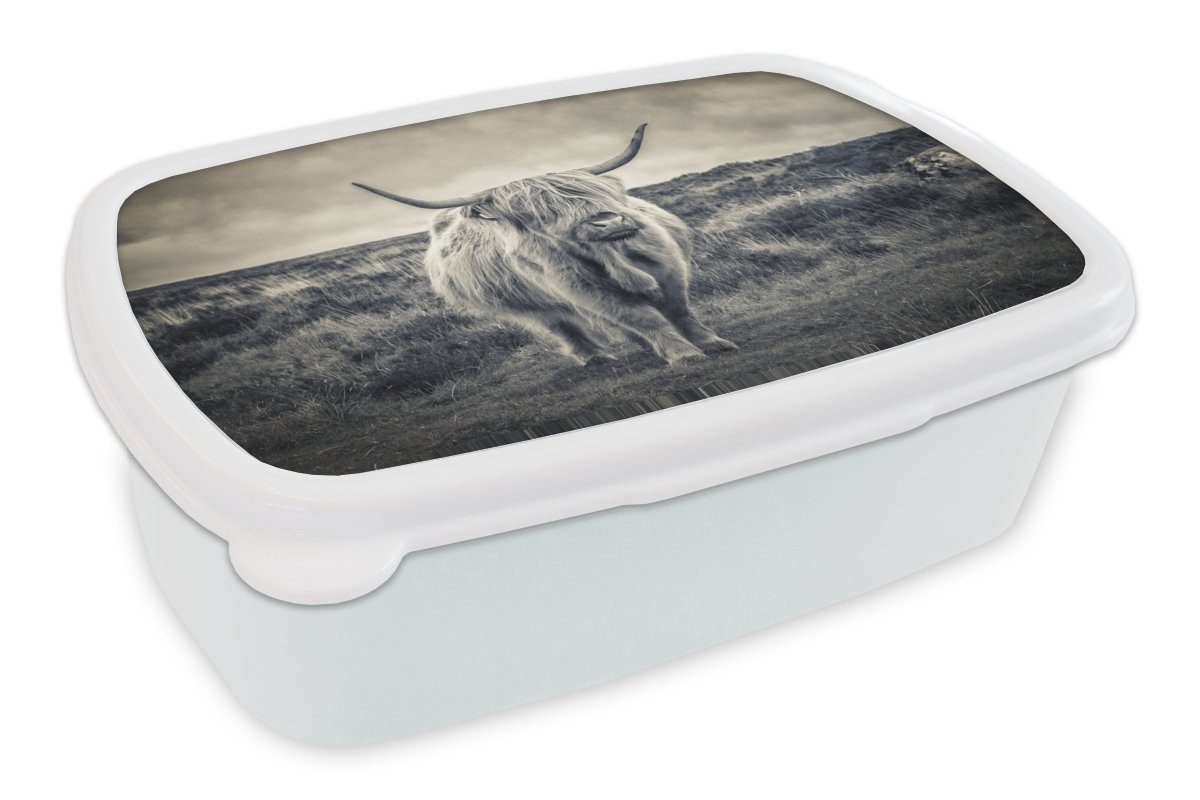 MuchoWow Lunchbox Schottischer Hochländer - Tiere - Wolken - Kuh - Natur, Kunststoff, (2-tlg), Brotbox für Kinder und Erwachsene, Brotdose, für Jungs und Mädchen weiß