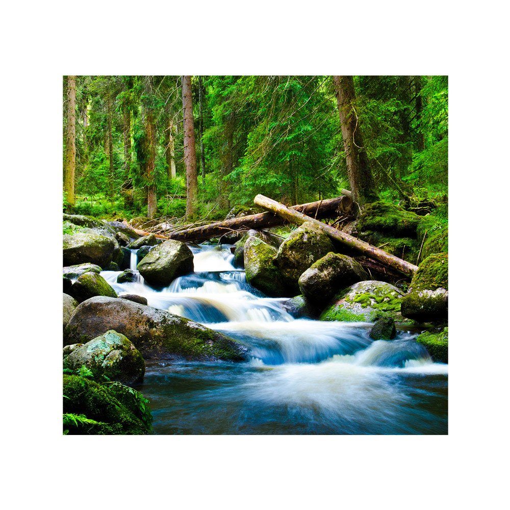 Natur liwwing Wasserfall 31, Wald Fototapete grün Baum liwwing Wald no. Fototapete