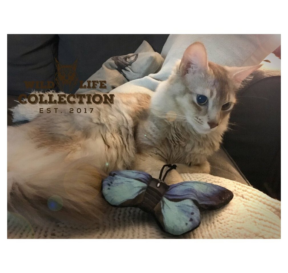 Thumbnail - wild life collection Tierkuscheltier Wild Life Cat Blue Butterfly (Blauer Schmetterling)
