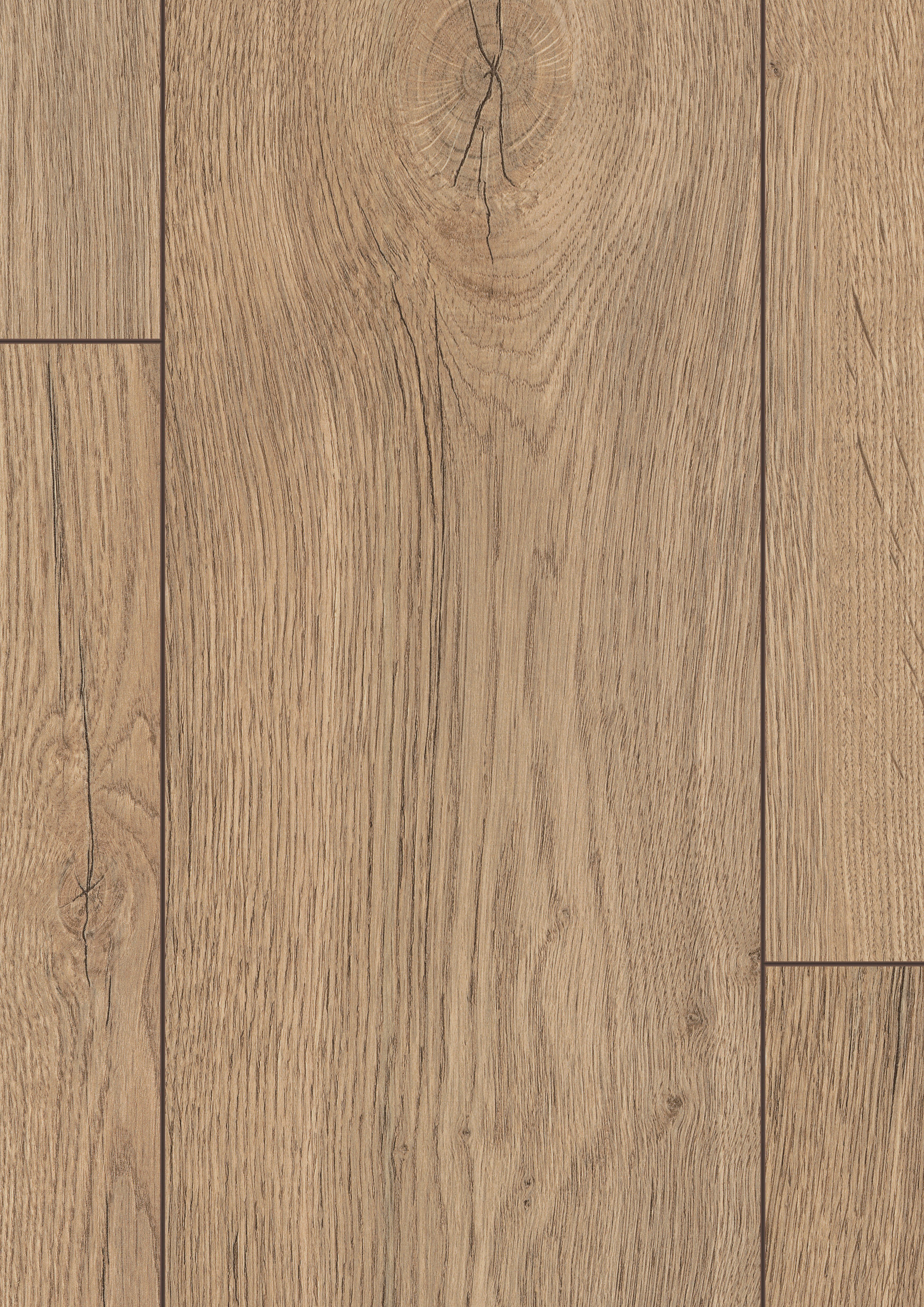 EGGER Laminat Promo NL2082 Elva Eiche natur, (8mm, 1,995m), Praktisch & Pfl günstig online kaufen