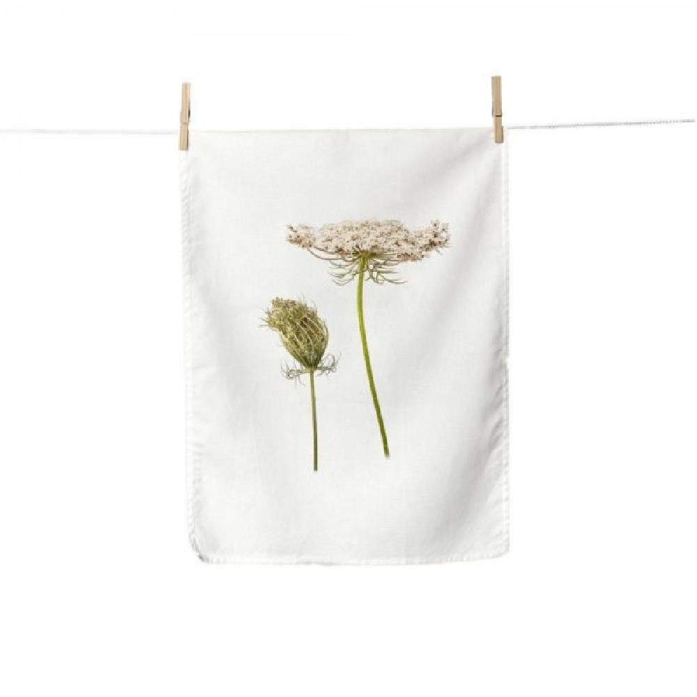 Simply Flowers Geschirrtuch Geschirrtuch Wilde Möhre günstig online kaufen