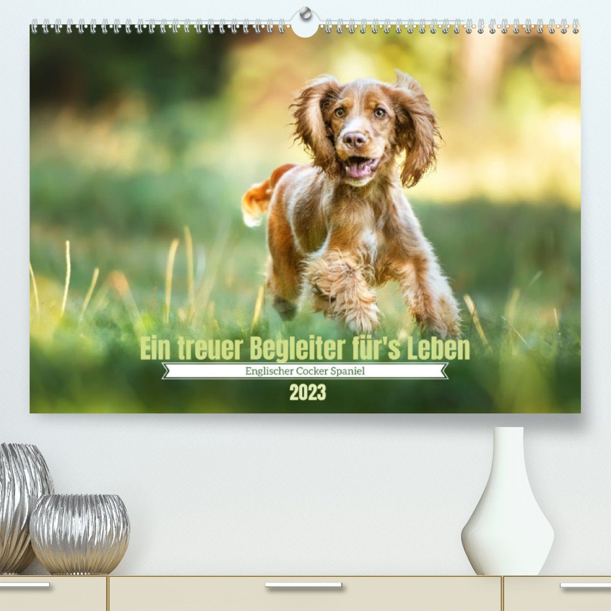 CALVENDO Wandkalender Englischer Cocker Spaniel (Premium, hochwertiger DIN A2 Wandkalender 2023, Kunstdruck in Hochglanz)