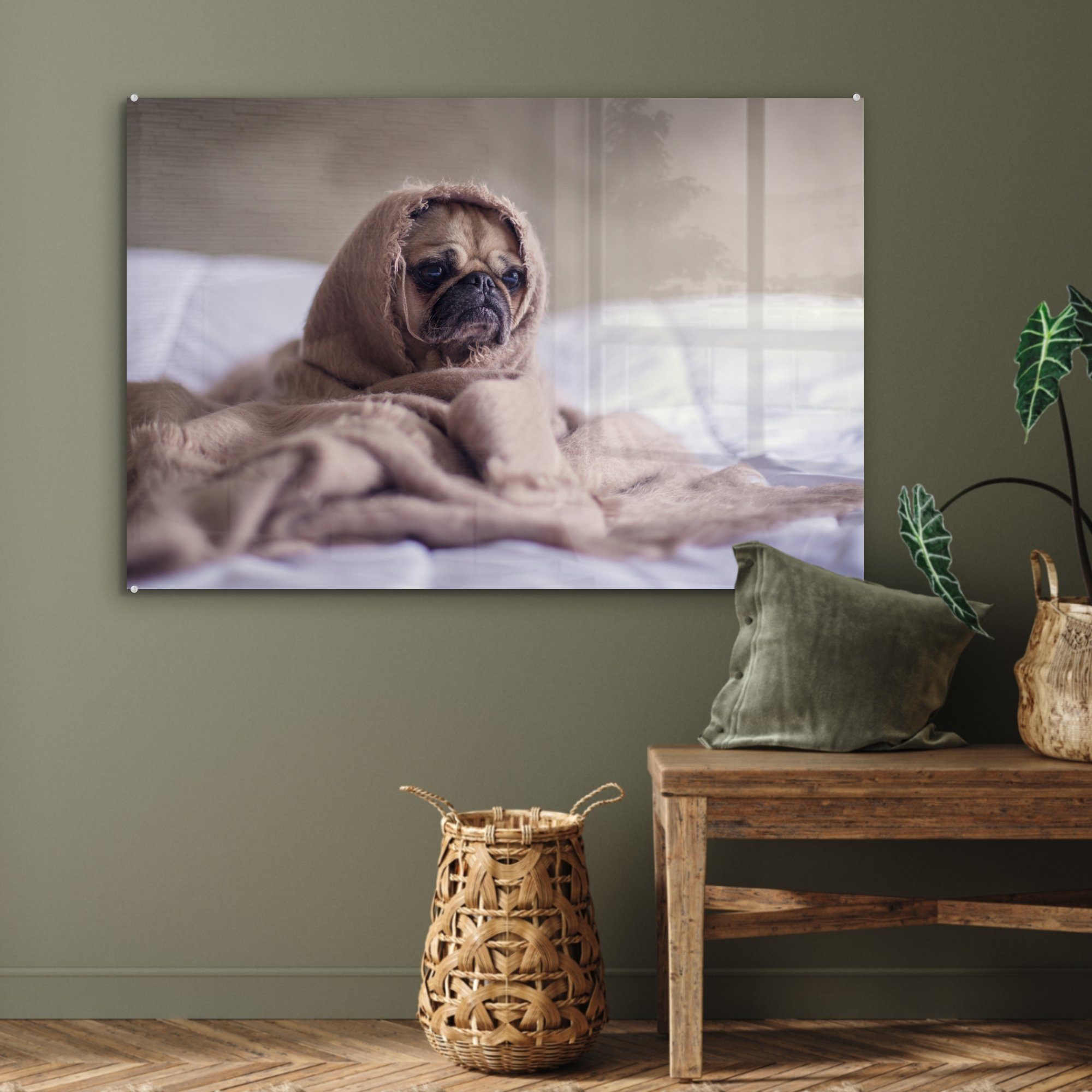 & MuchoWow - Acrylglasbild - Bett, Acrylglasbilder Wohnzimmer St), Schlafzimmer Hund (1 Decke