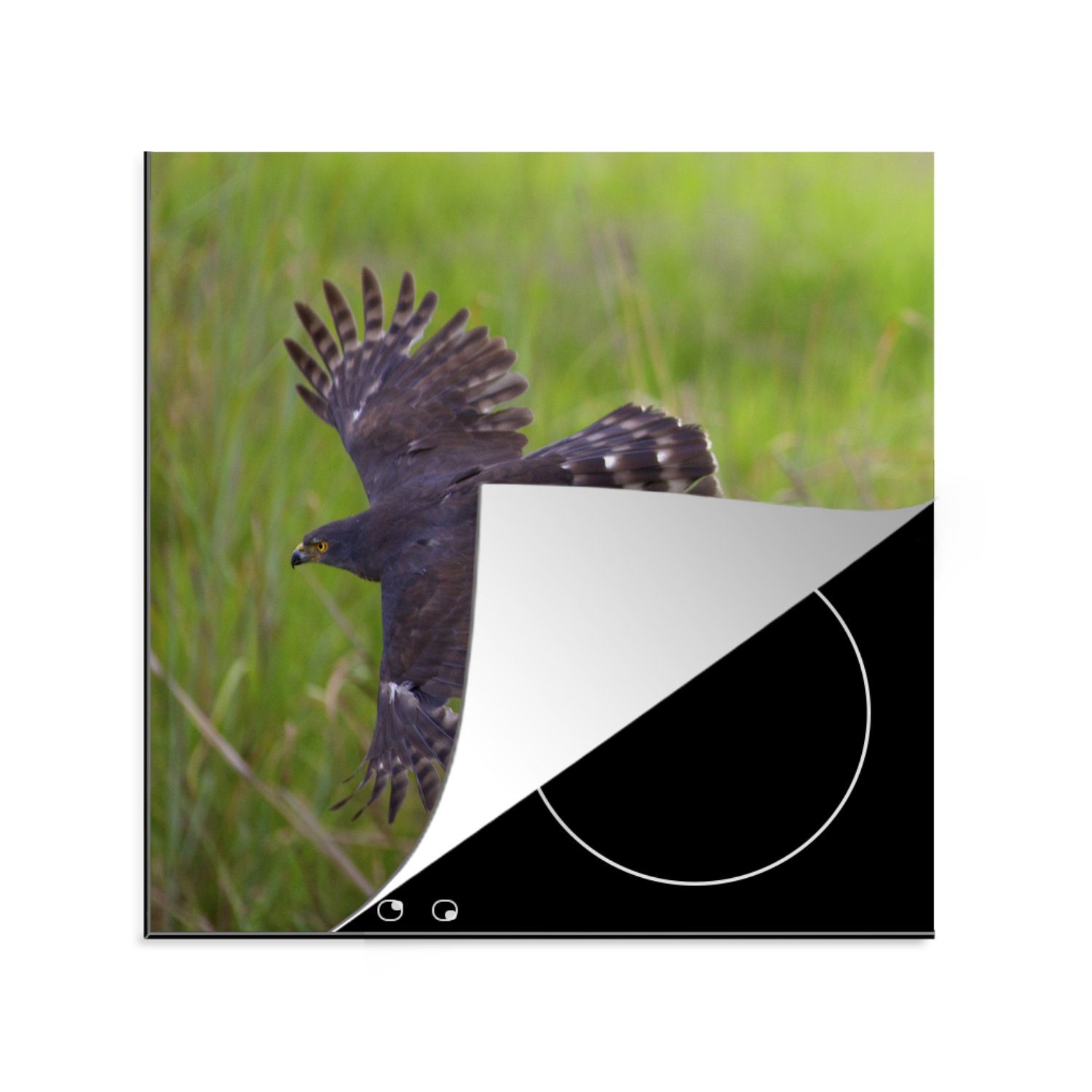 MuchoWow Herdblende-/Abdeckplatte Ein Falke auf der Jagd nach seiner Beute, Vinyl, (1 tlg), 78x78 cm, Ceranfeldabdeckung, Arbeitsplatte für küche