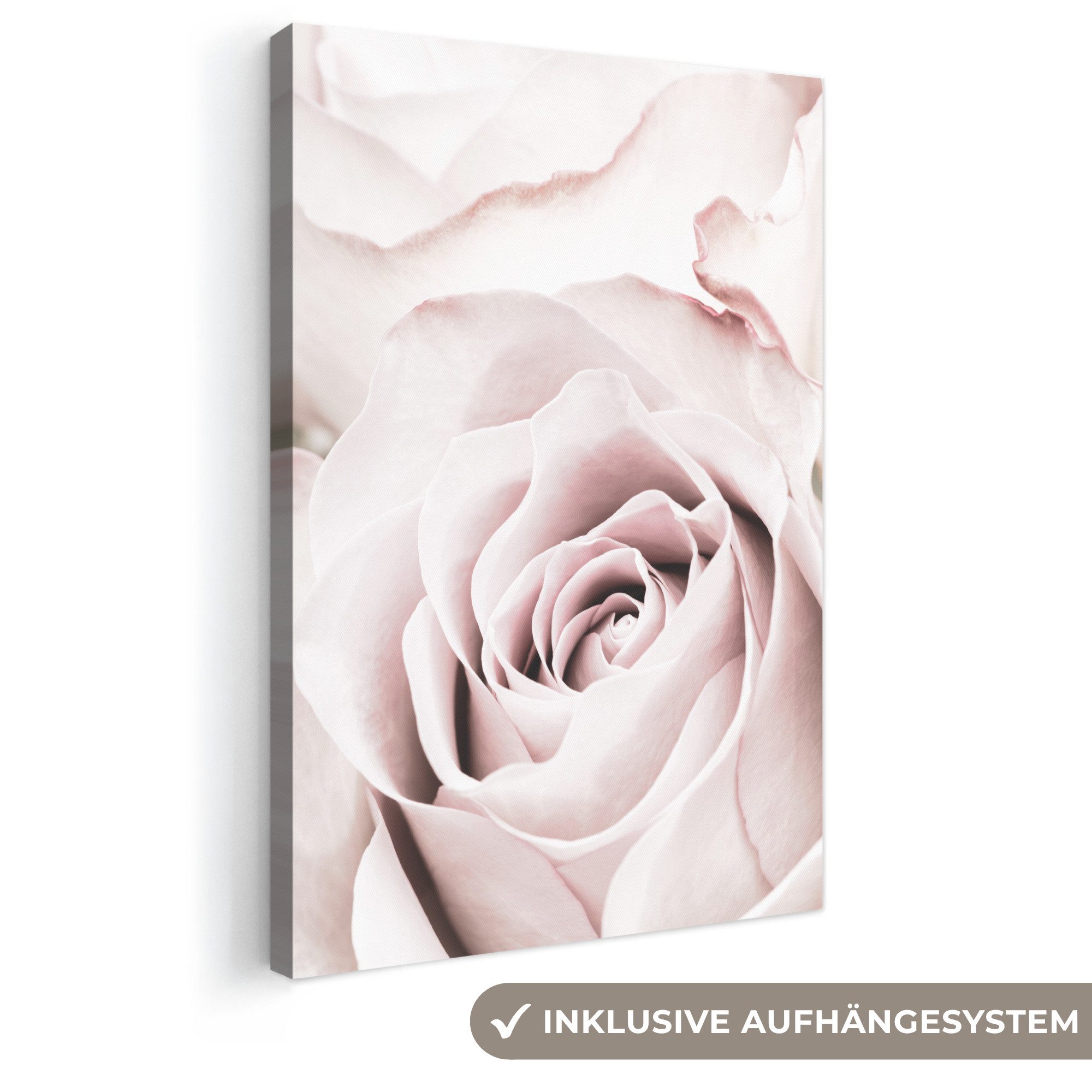 OneMillionCanvasses® Leinwandbild Blumen - Rose - Rosa - Botanisch, Fotodruck (1 St), Vintage Deko Bilder Wohnzimmer, Wanddeko Retro, 20x30 cm