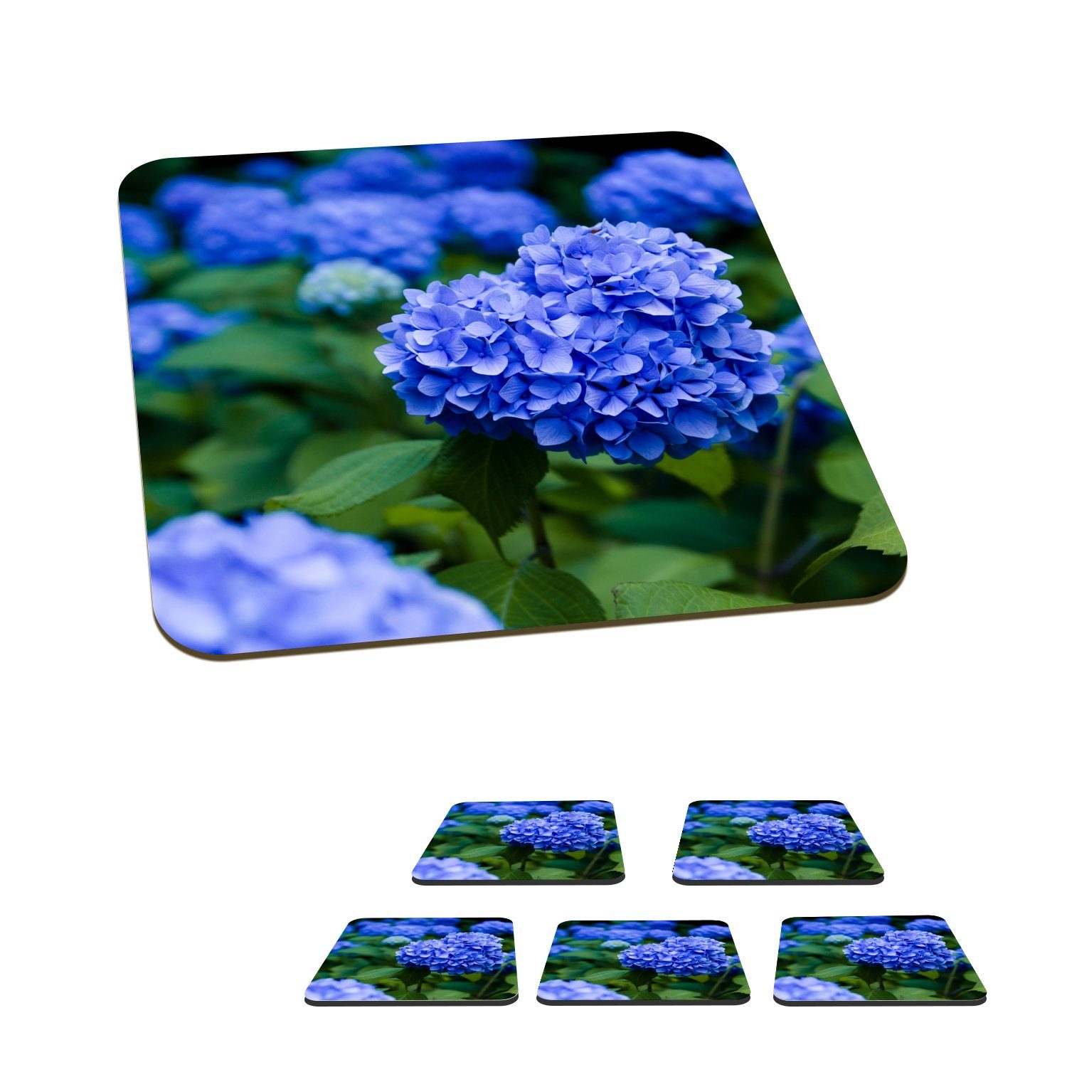 MuchoWow Glasuntersetzer Nahaufnahme blaue Hortensienblüten, Zubehör für Gläser, 6-tlg., Glasuntersetzer, Tischuntersetzer, Korkuntersetzer, Untersetzer, Tasse