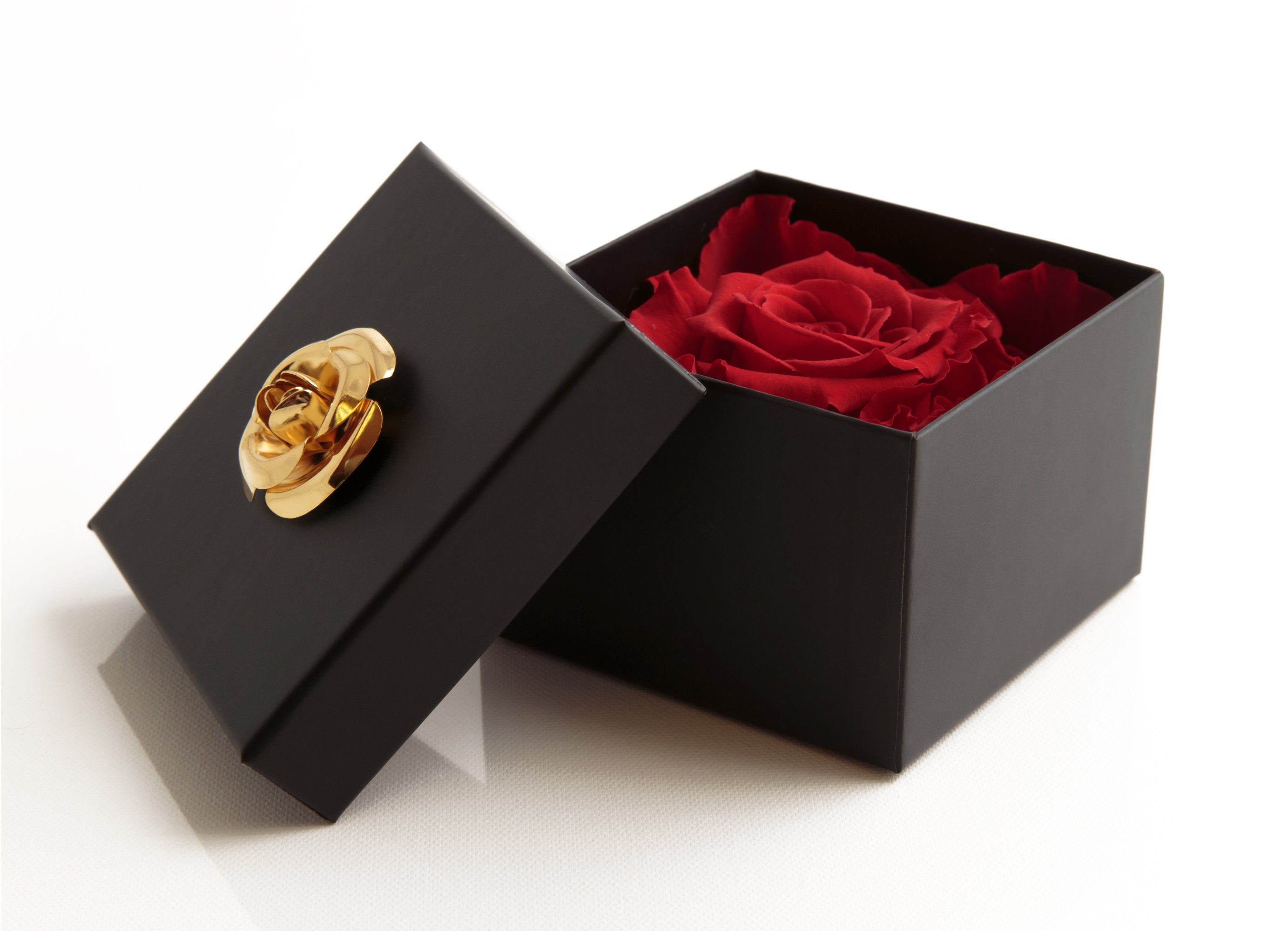 Echte 3 Rose Heidelberg, rot 3 zu Blumendeckel SCHULZ haltbar cm, in Rose, haltbar Box Rose mit Infinity 6.5 Jahre Jahre Kunstblume bis Rose 1 ROSEMARIE Höhe