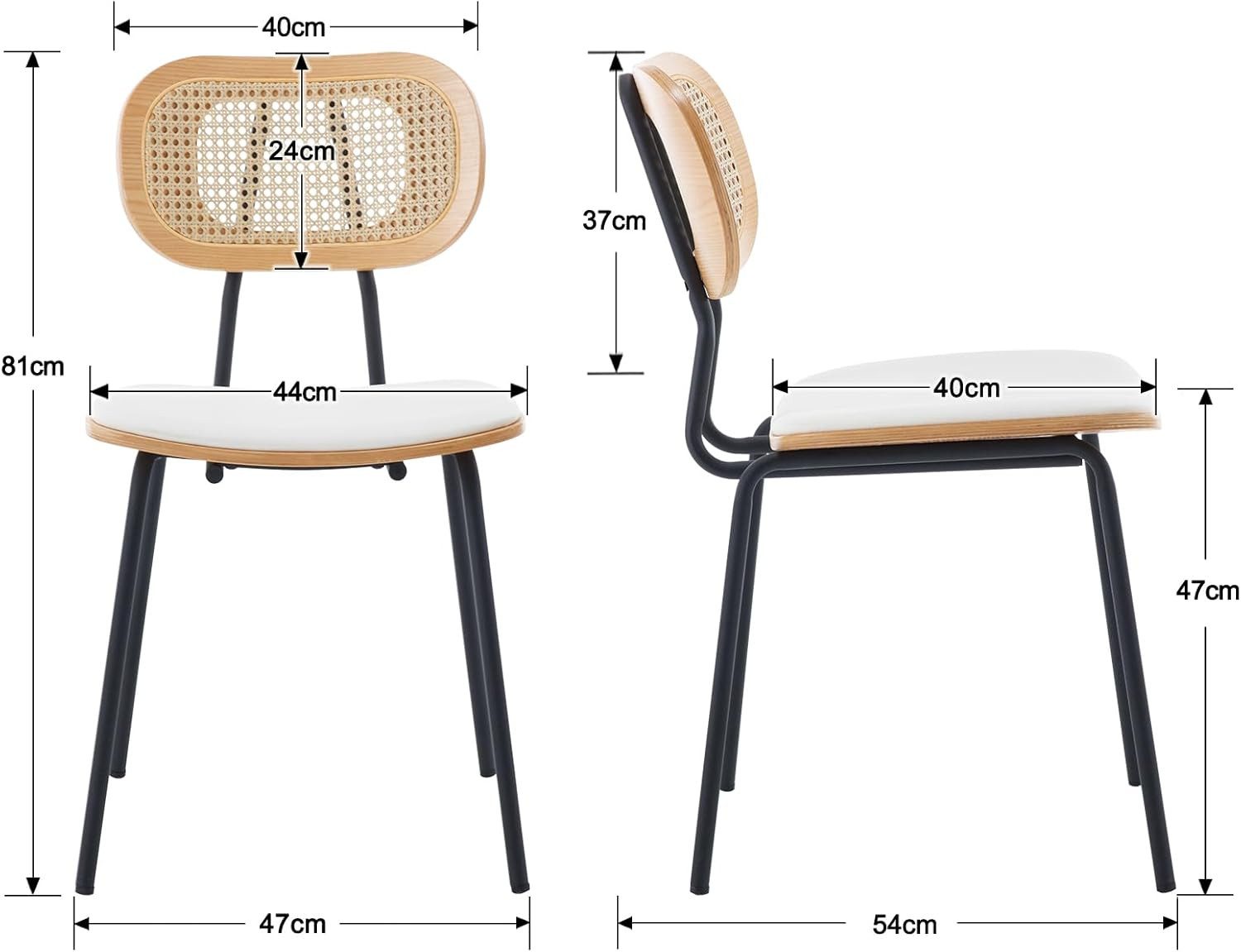 CHAIRUS Esszimmerstuhl 2er-Set, Rattan-Küchenstuhl Wohnzimmerstuhl (2 St), mit Metallbeinen & PU-Leder