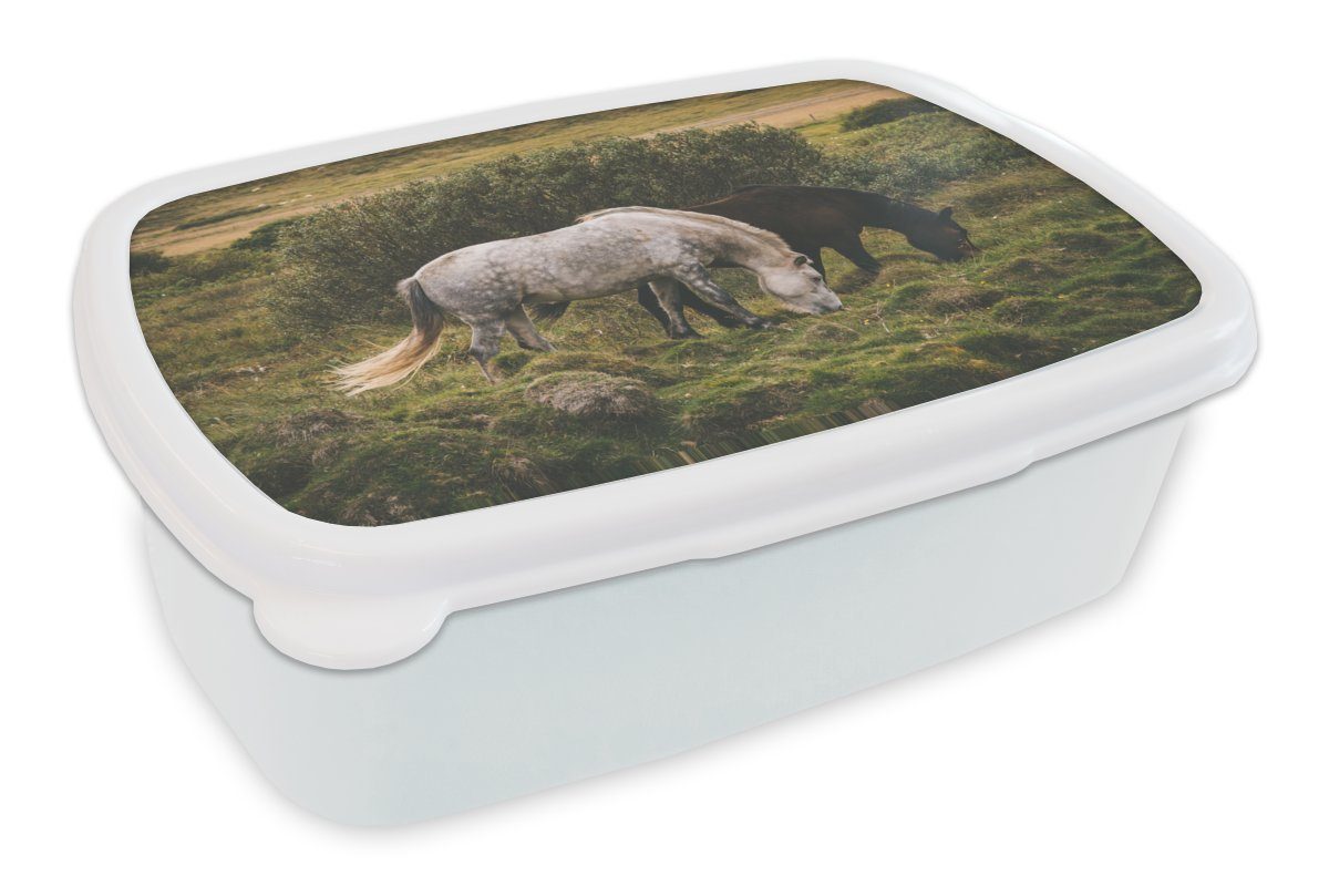 MuchoWow Lunchbox Pferde - Gras - Strauch, Kunststoff, (2-tlg), Brotbox für Kinder und Erwachsene, Brotdose, für Jungs und Mädchen weiß