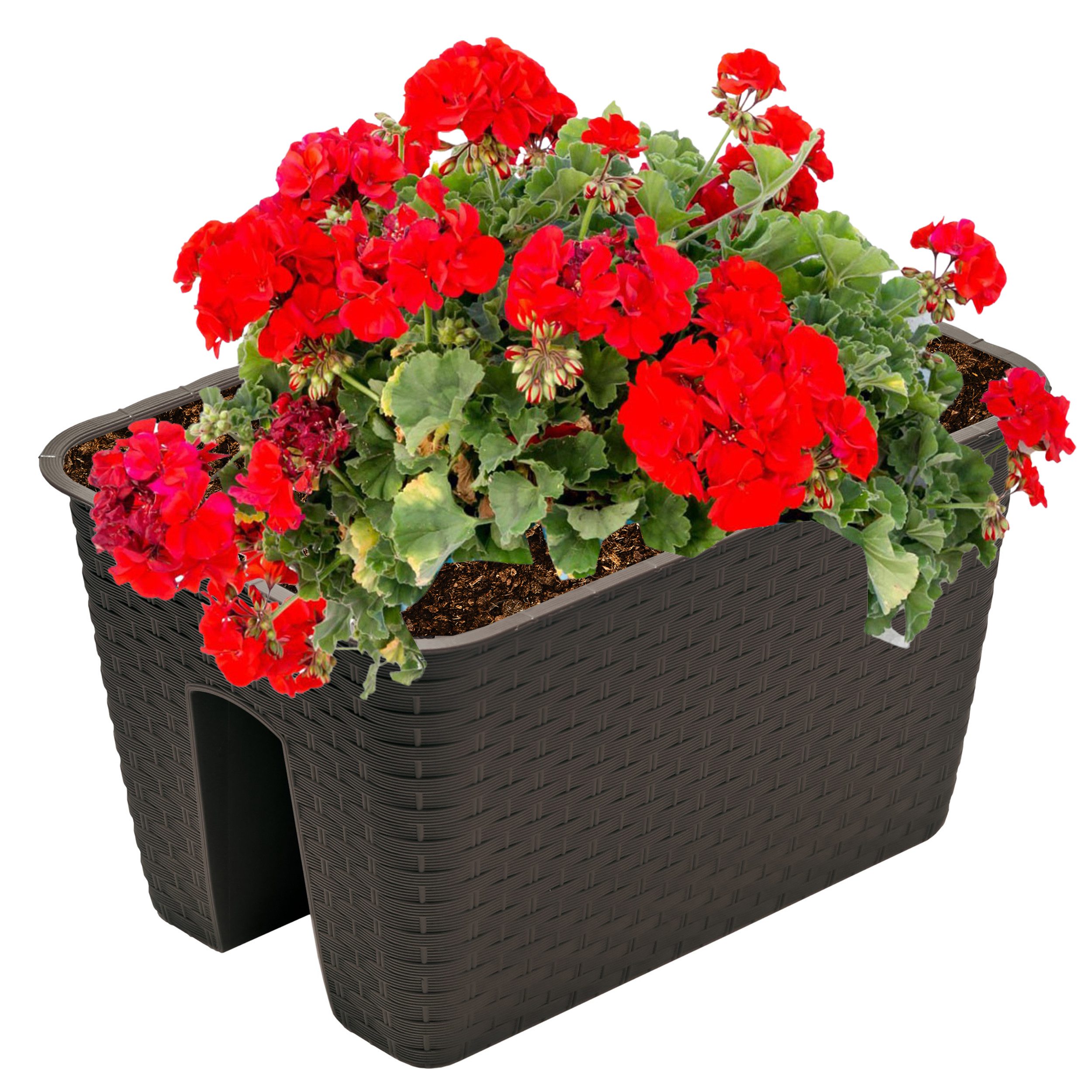 Annastore Balkonkasten Blumenkasten für Geländer und Brüstungen - Pflanzkasten für Geländer, Geländerkasten, Blumentopf, Geländertopf
