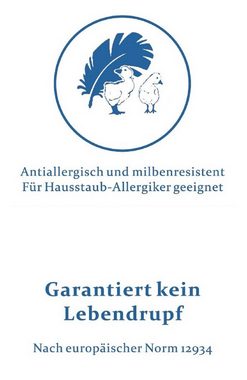4-Jahreszeitenbett, Hofmanns Kuschelige Ganzjahres Daunendecke 6x6 200x200,1380g Daunenbet, Betten Hofmann, Füllung: Daunen