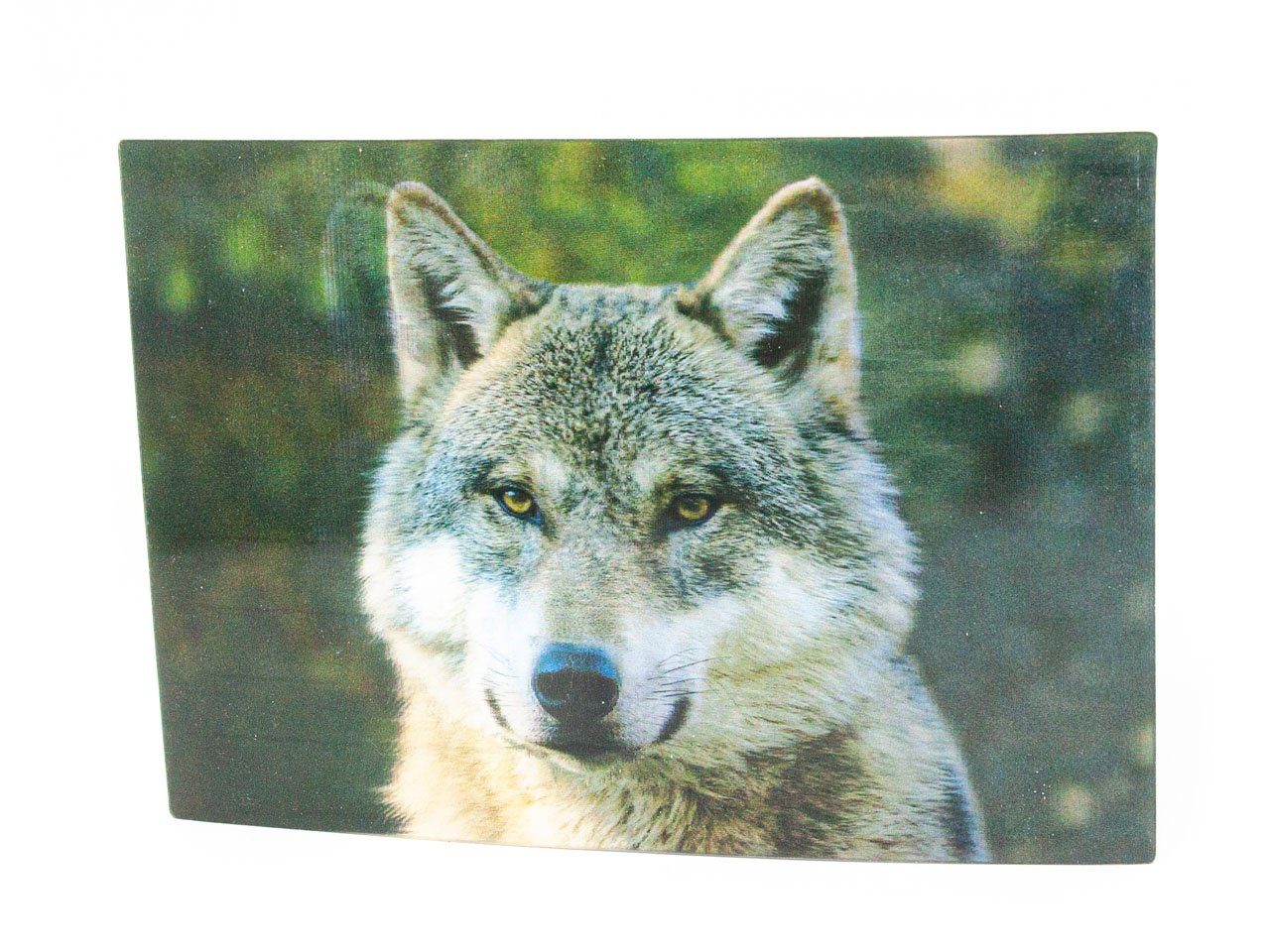 Cornelißen Postkarte 3D Postkarte Wolfskopf, 3D