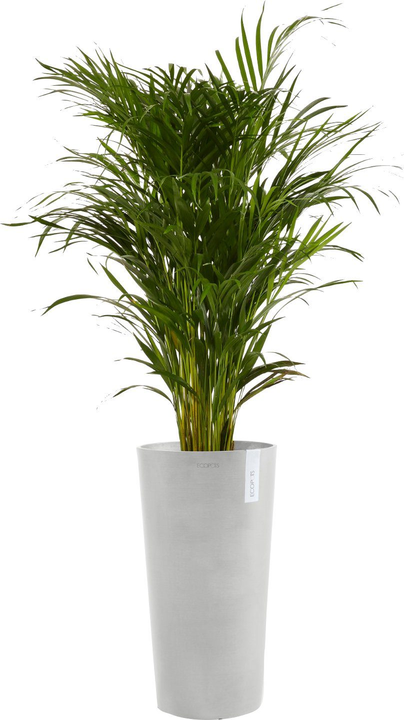 ECOPOTS Blumentopf AMSTERDAM HIGH cm White 41x41x76 BxTxH: Grey